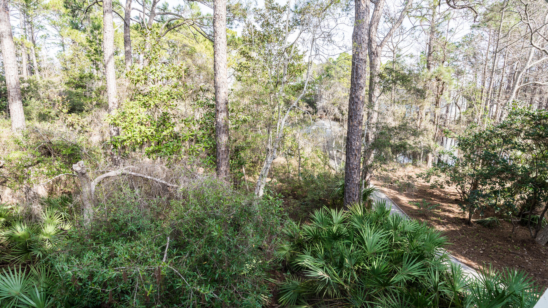 CASSINE GARDENS T/H PH 4 - Residential