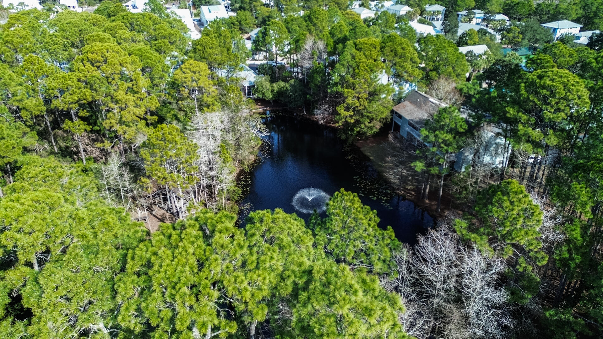 CASSINE GARDENS T/H PH 4 - Residential