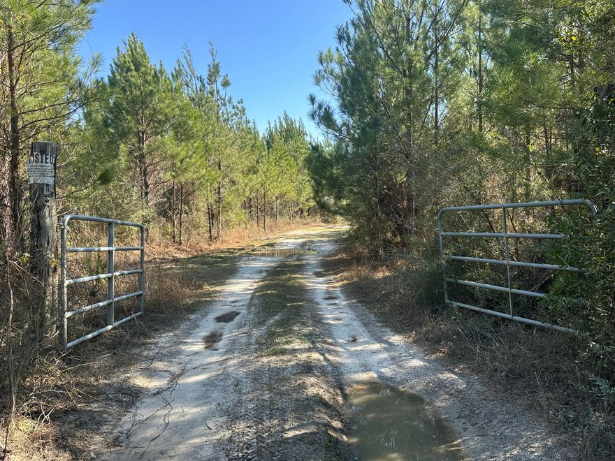 An exceptional opportunity awaits with this sprawling 203+/- acre parcel of land, strategically located in the heart of Bonifay, Florida. This prime property offers a wealth of possibilities for developers, investors, and outdoor enthusiasts alike.