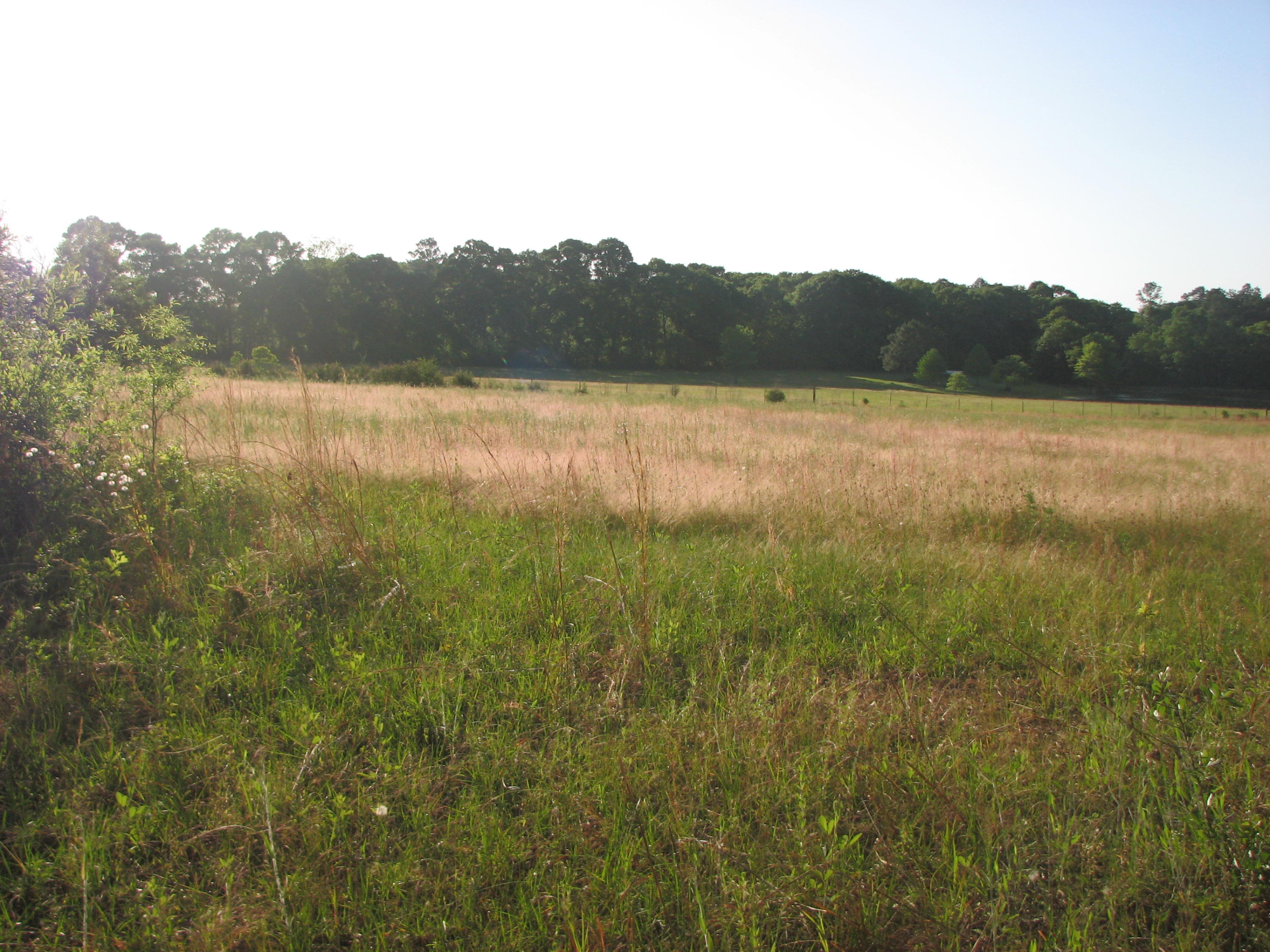 Prime acreage, bring your house plans and builder to this 13.28 acre track. Plenty of room for your horse barn and pasture. Survey available upon request for this property.