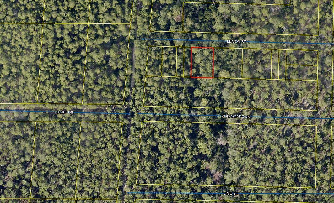 This is a vacant wooded lot in growing Mossy Head. Currently access to this property is limited, as there are no roads to the property, possibly just some dirt trails. Seller lives out of town and has never seen the property. Bring us an offer. Sold As Is. Property location, access, and exact dimensions and acreage to be determined by Buyer at Buyer expense. No survey.