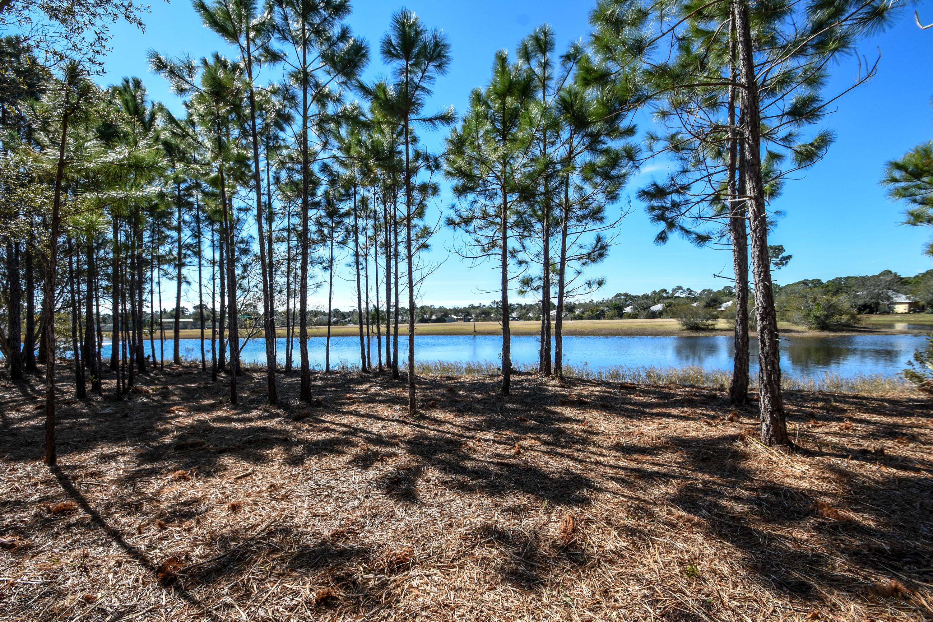 DRIFTWOOD ESTATES - Residential