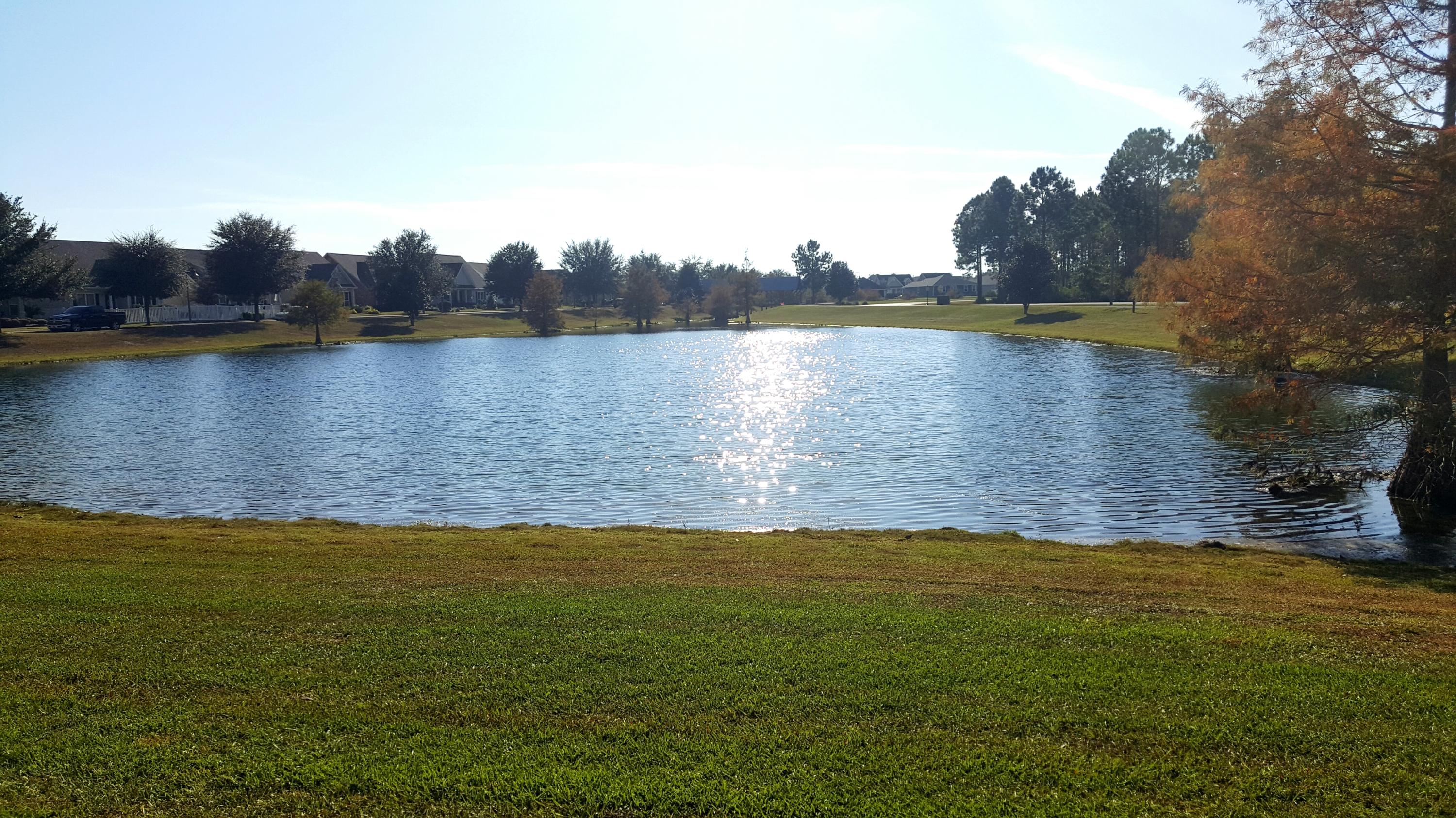 Hammock Bay - Residential