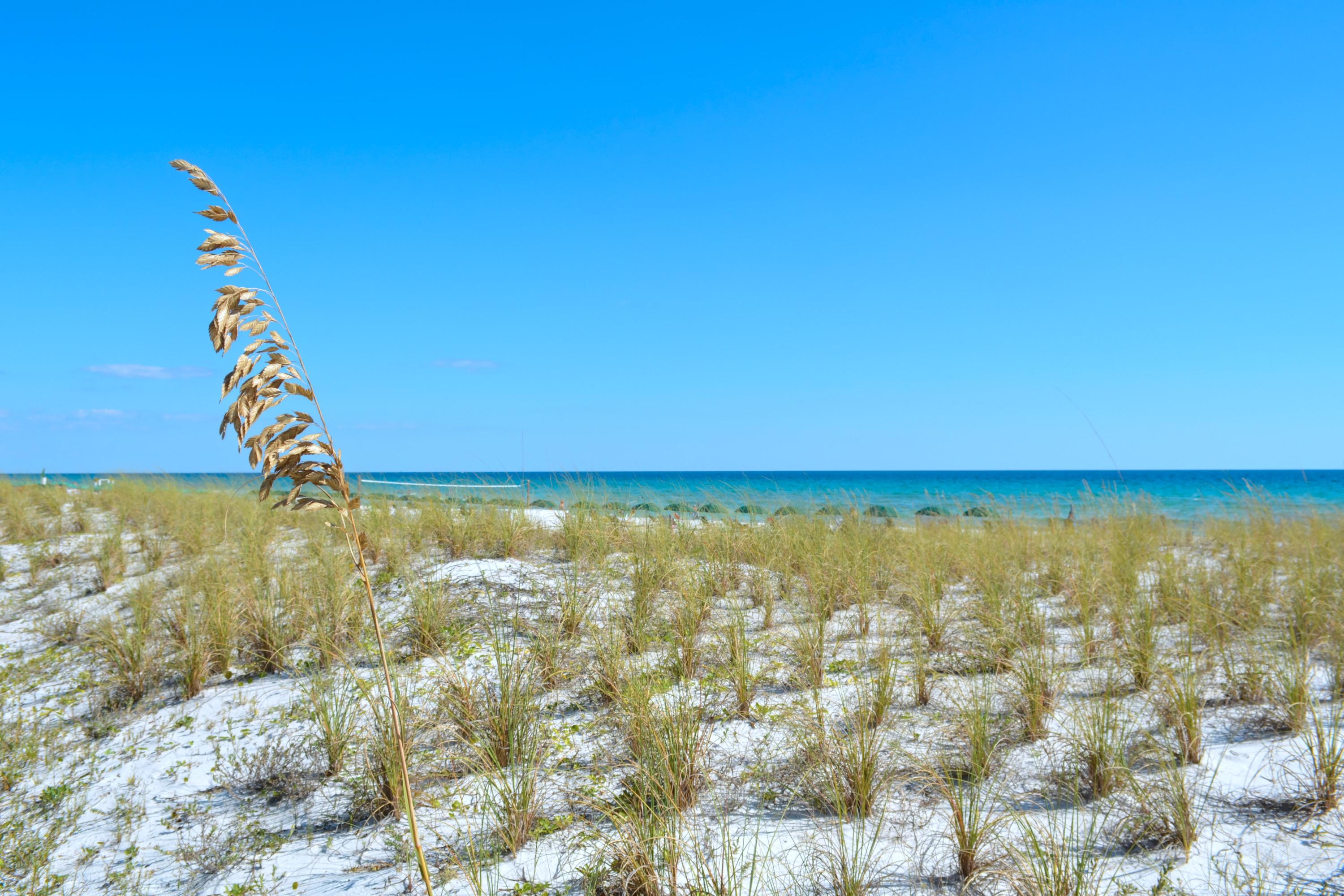 WATERS EDGE - Residential