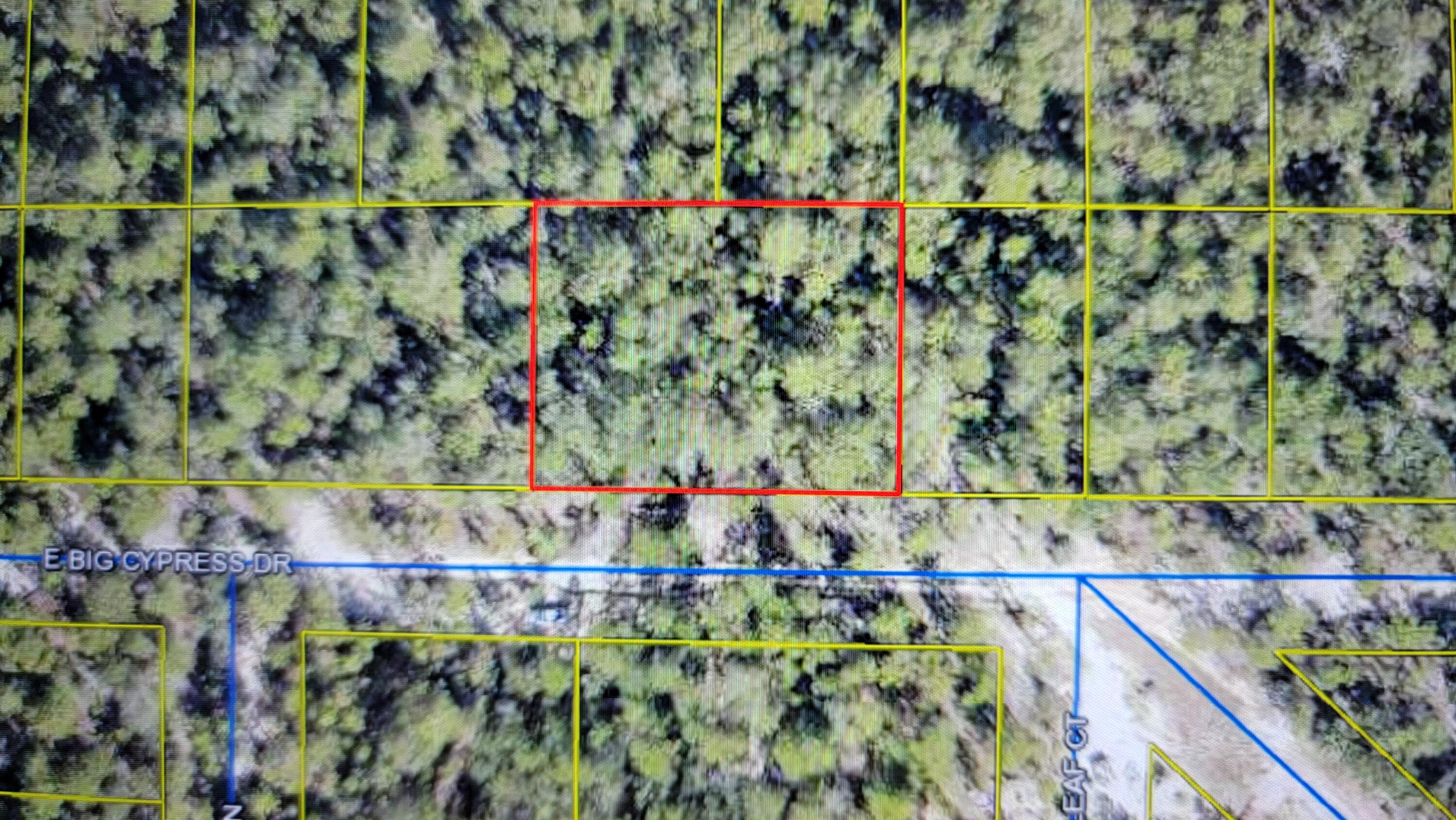 Vacant Lot .46 - Undeveloped area, just waiting for you to make it yours.