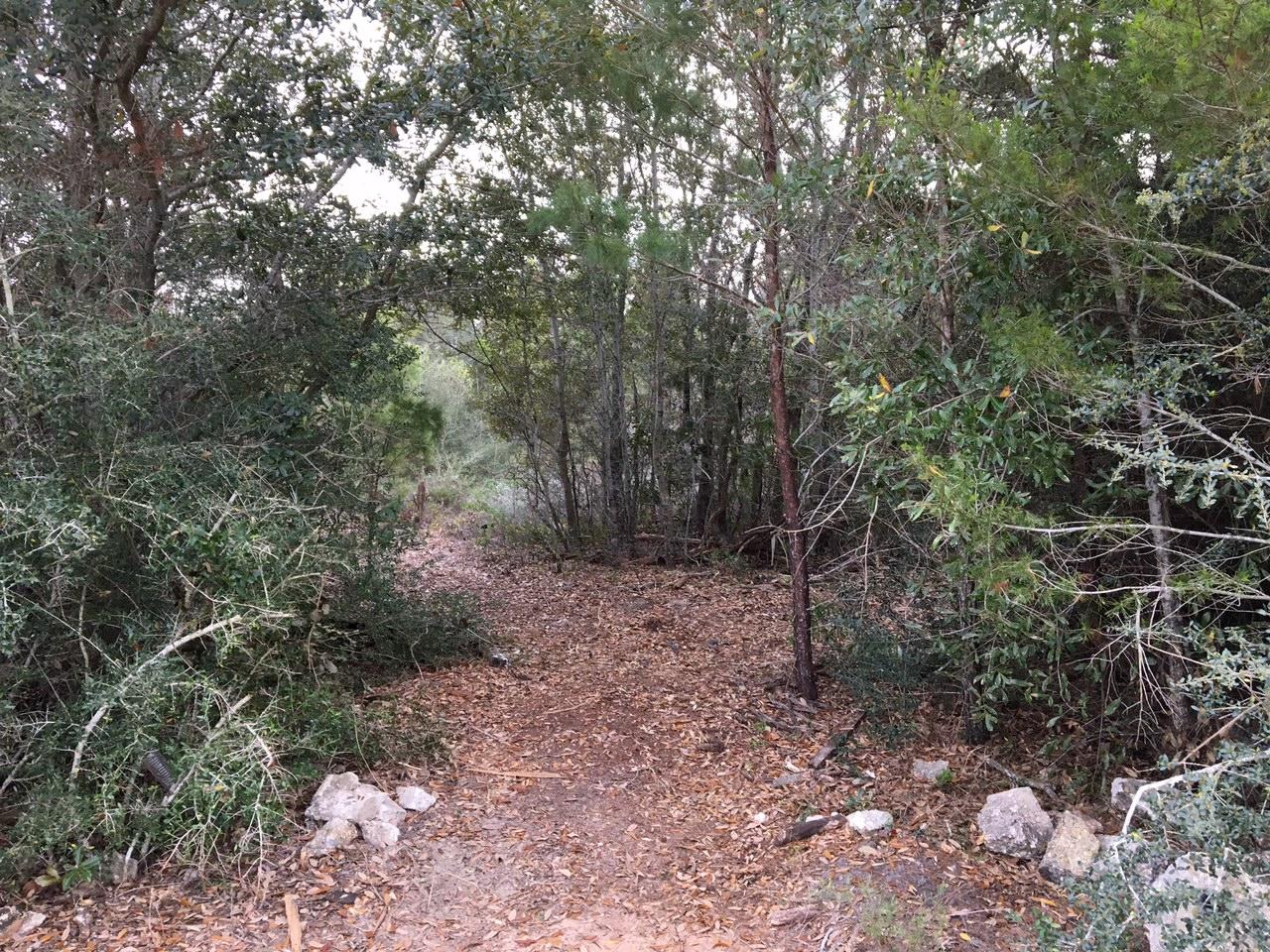 Land high an dry with heavy vegetation.Paths have been cut through for easy viewing (dpwn both sides and to the Hwy).Third Street is behind this property making it very convenient to walk the property and park your car.