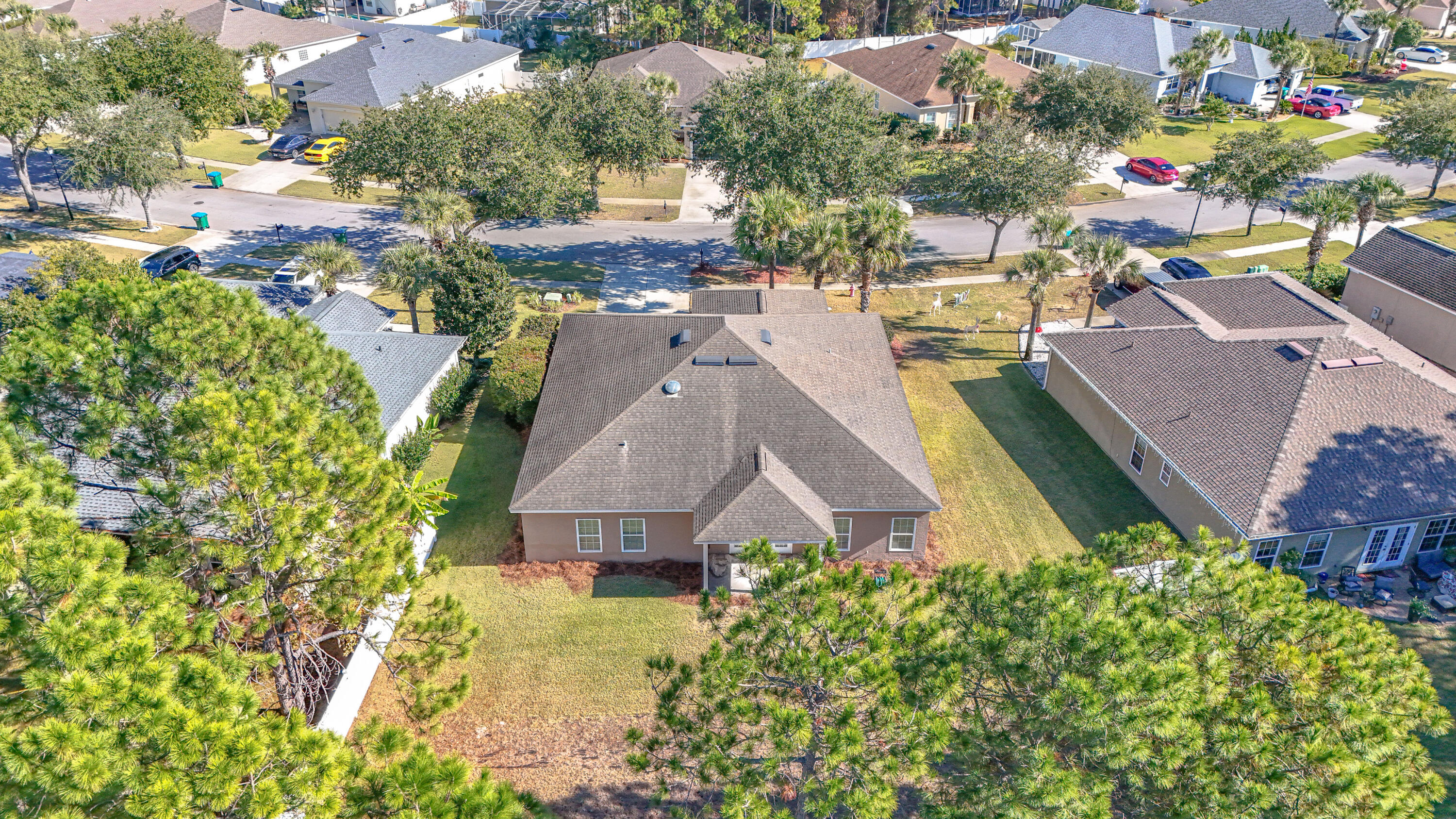 Palmetto Trace - Residential