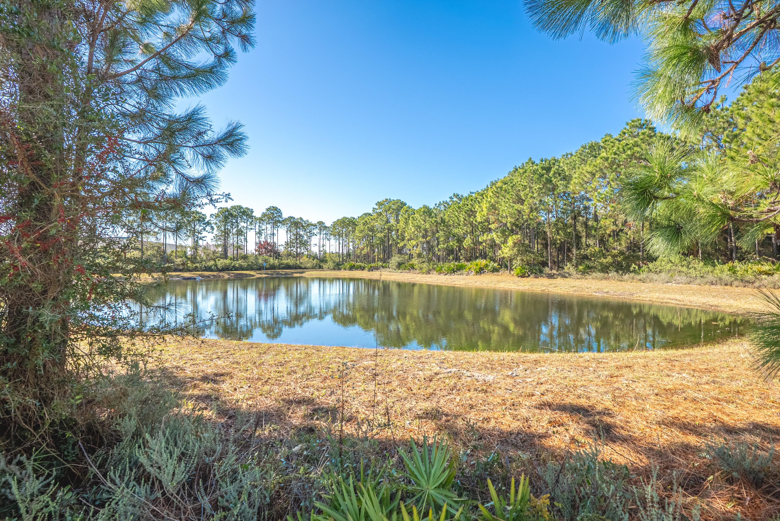 Palmetto Trace - Residential