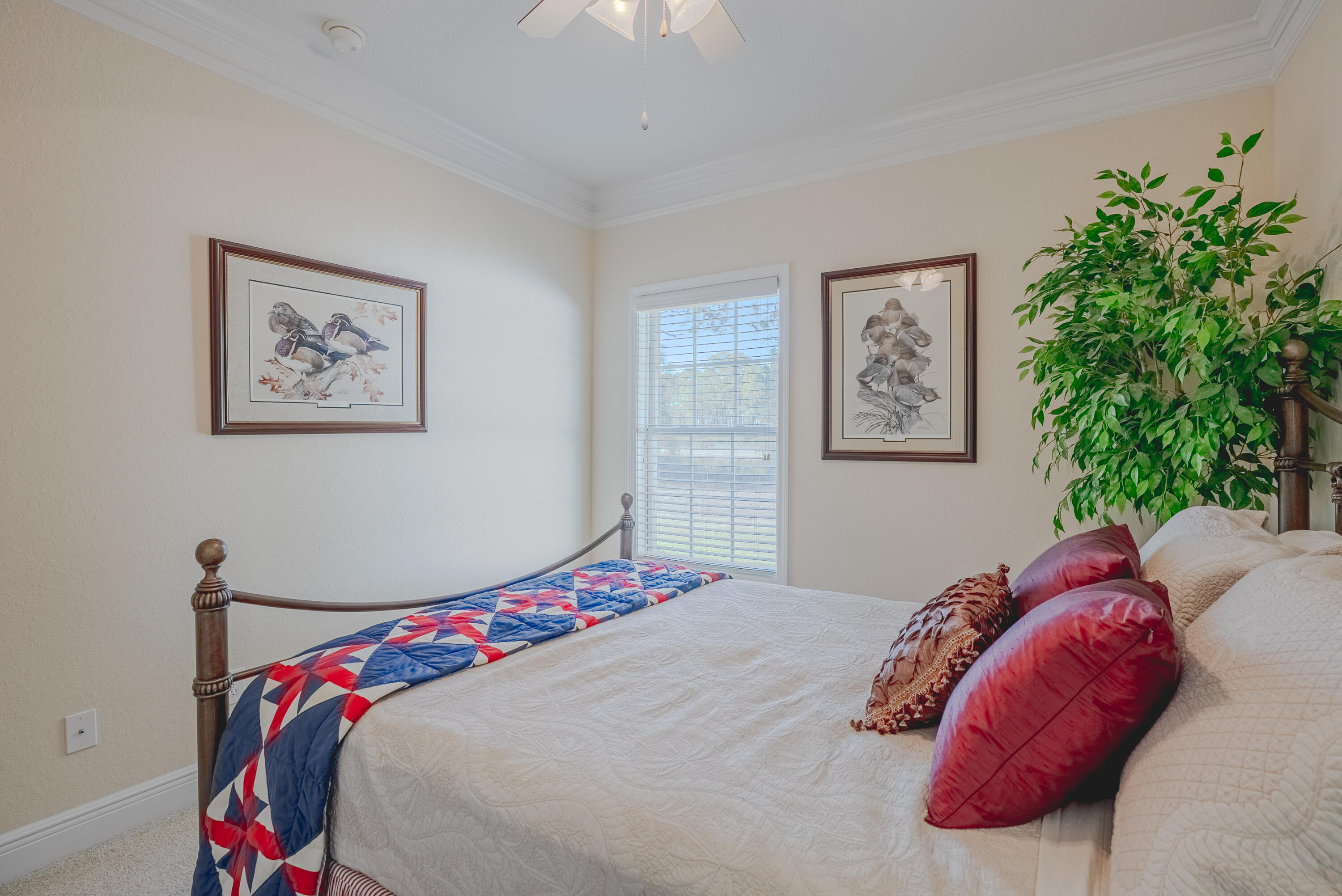 Palmetto Trace - Residential