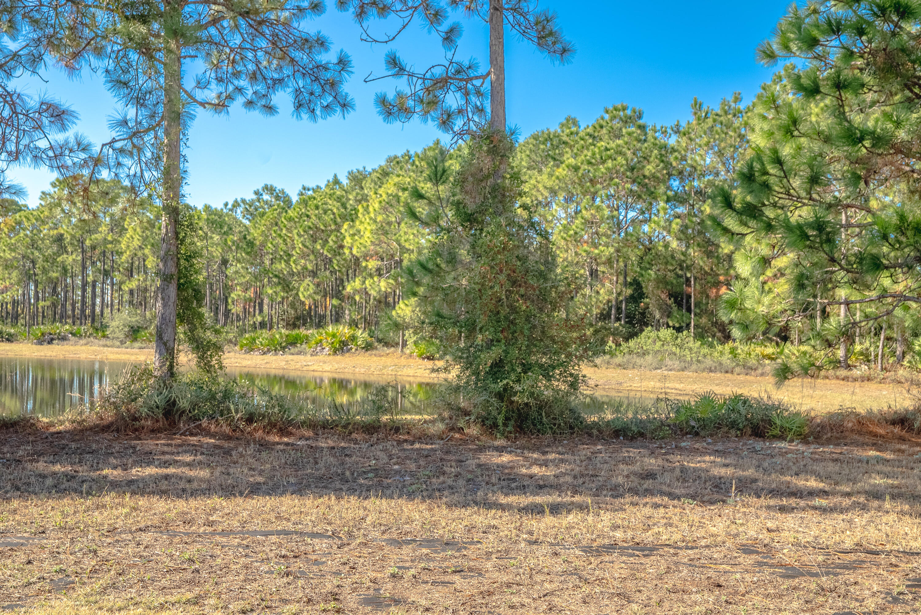 Palmetto Trace - Residential