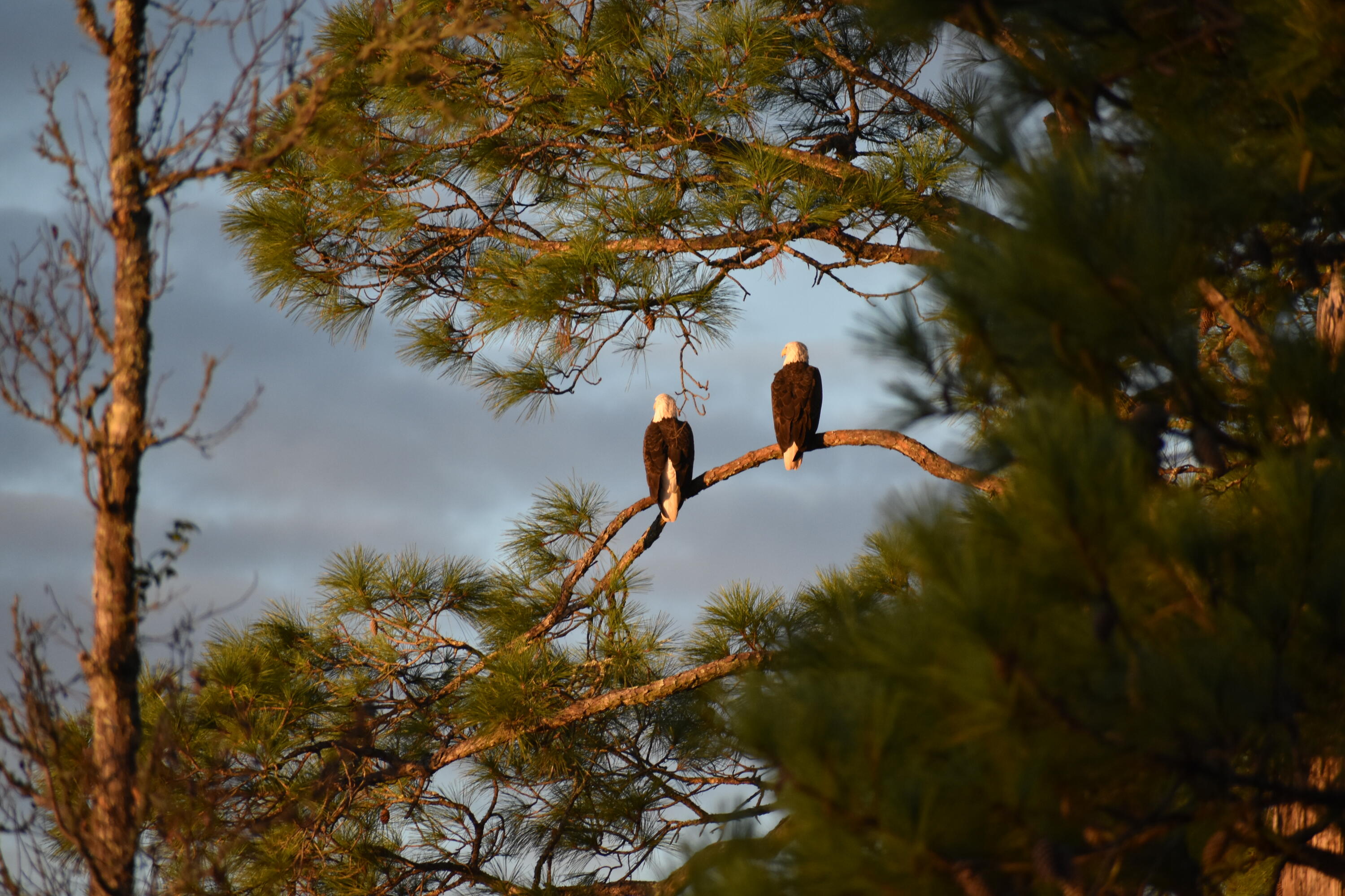 LAGRANGE BAYOU ESTATES - Residential
