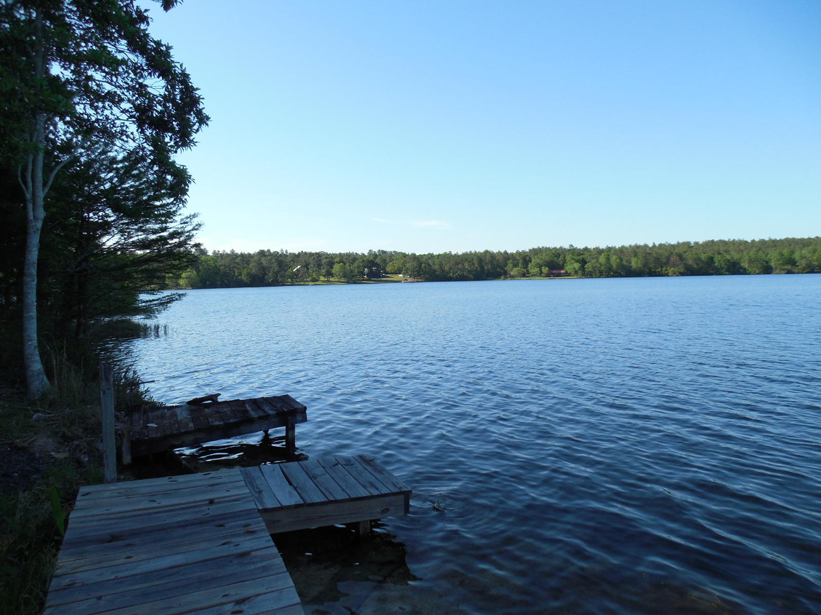 SPRING LAKE ESTATES - Residential