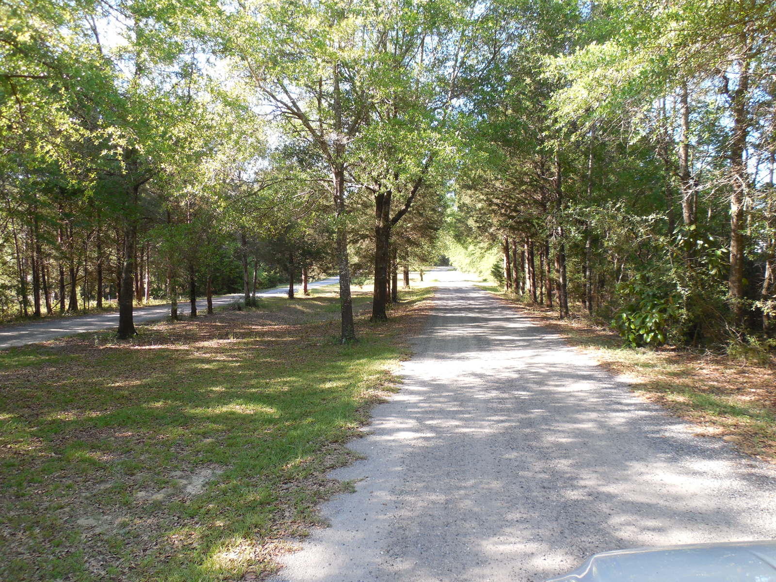 SPRING LAKE ESTATES - Residential