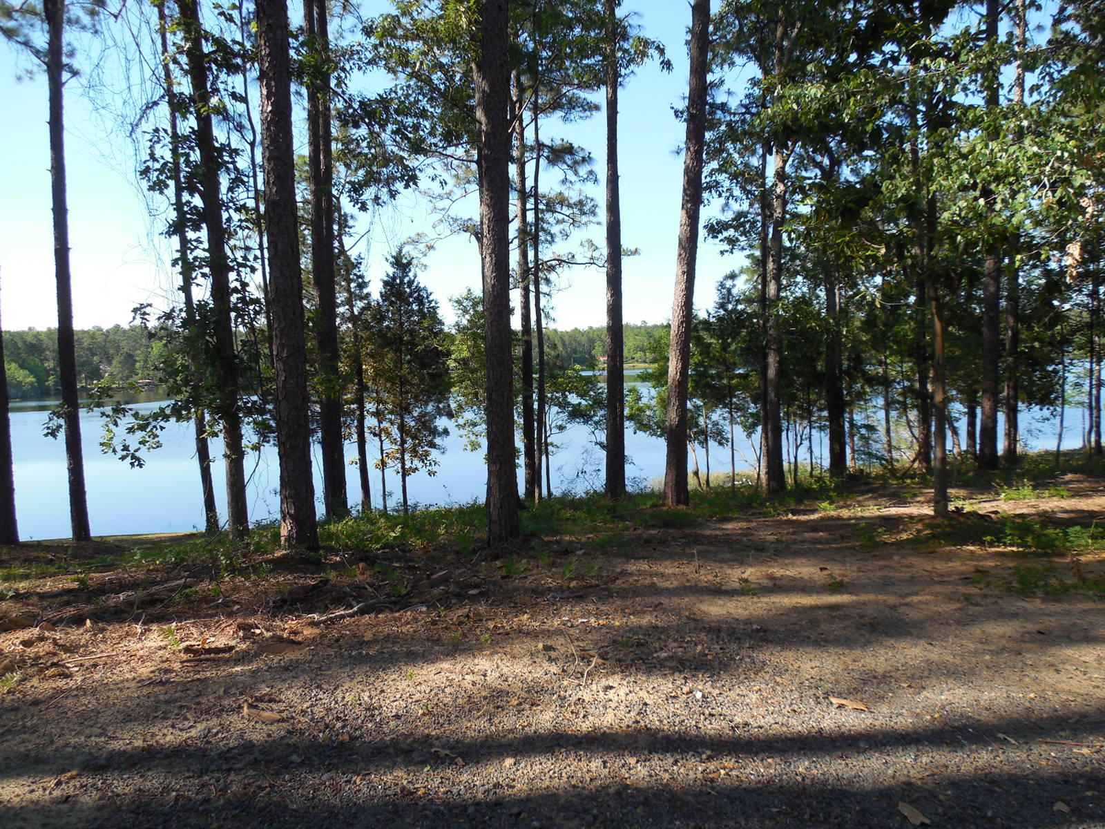 SPRING LAKE ESTATES - Residential