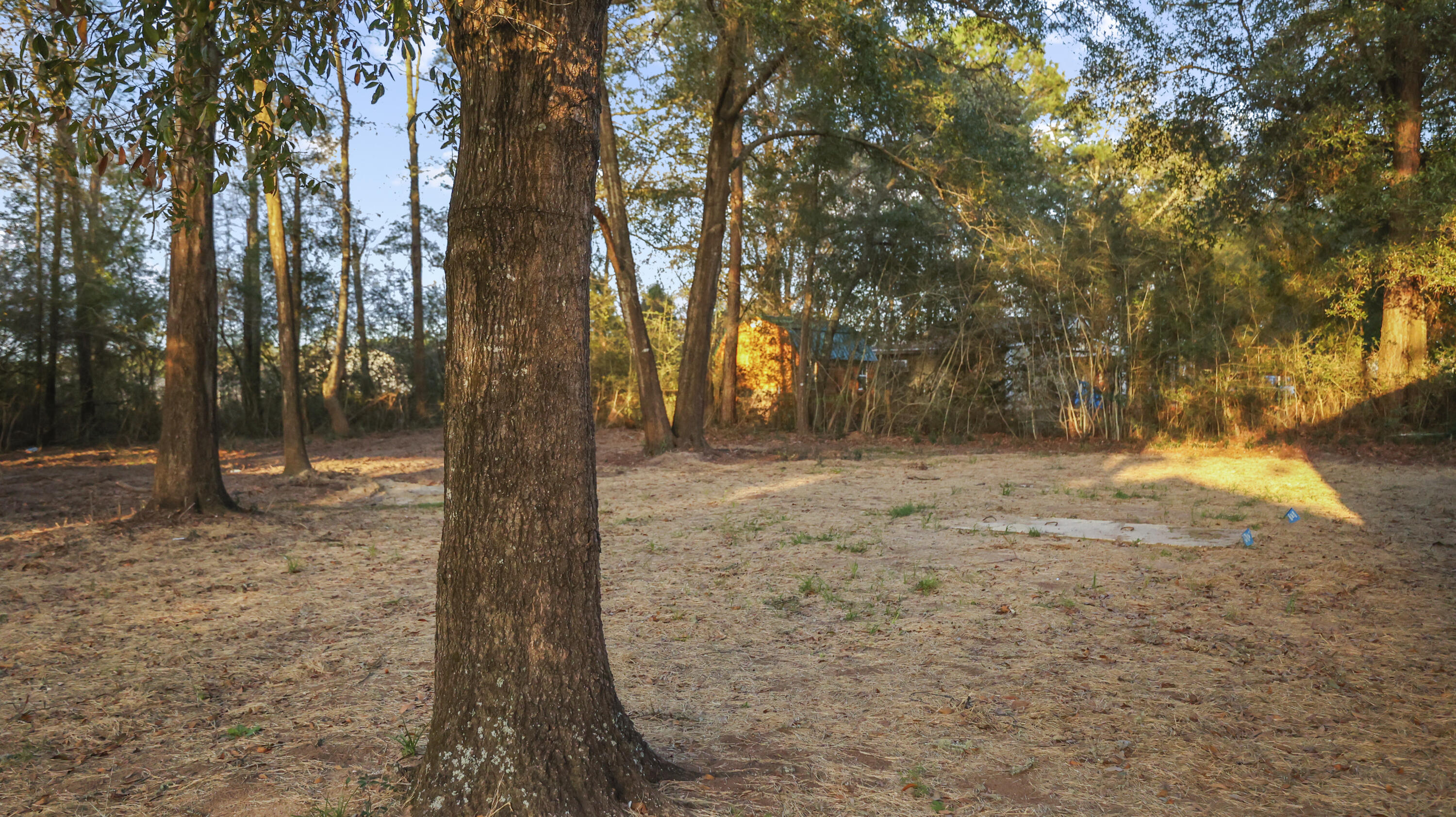 Hemlock/Woodlawn - Residential