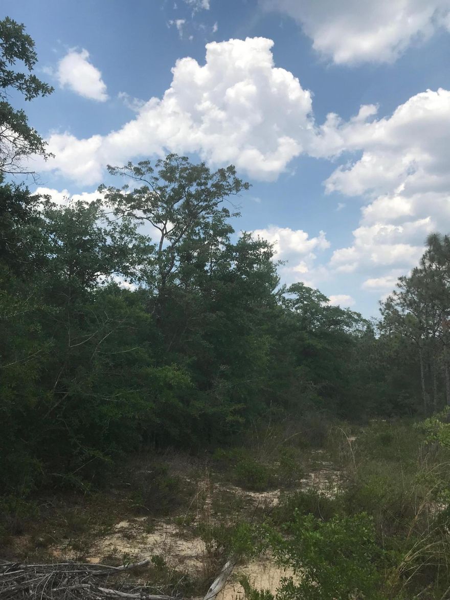 Want some peace and quiet. Here it is 3 wooded lots available for you next home site. Very secluded area. Convenient drive to Eglin and Beaches .