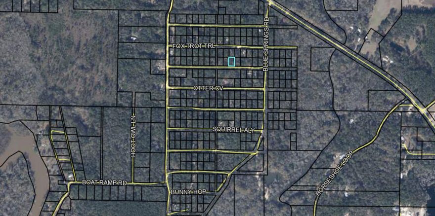 Beautiful and Highly affordable lot situated just less than 3/4 of a mile from the boat launch for the Choctawhatchee River. Bring your building plans or your RV but don't forget your boat! Build your forever home, camp house, or have your private lot to camp with your RV. With power available along Possum Trott road the cost of electric service should be minimal. Lots in this price range are quickly becoming a thing of the past so don't miss out on this one!!