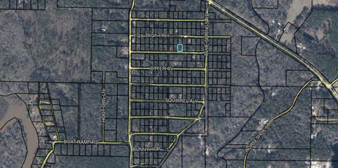 Photo of Lot 157 Possum Trott, Bonifay, FL 32425 (MLS # 991083)