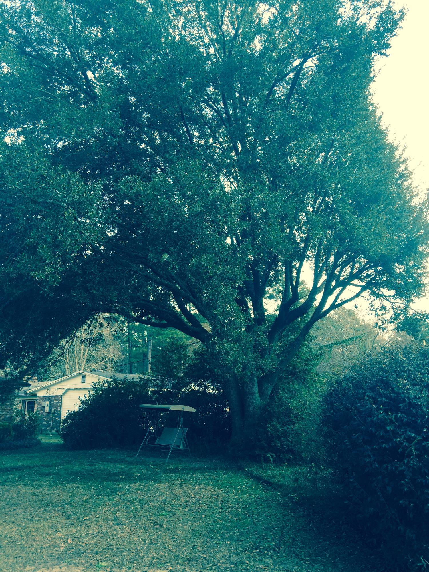 ADAMS POWELL - Residential