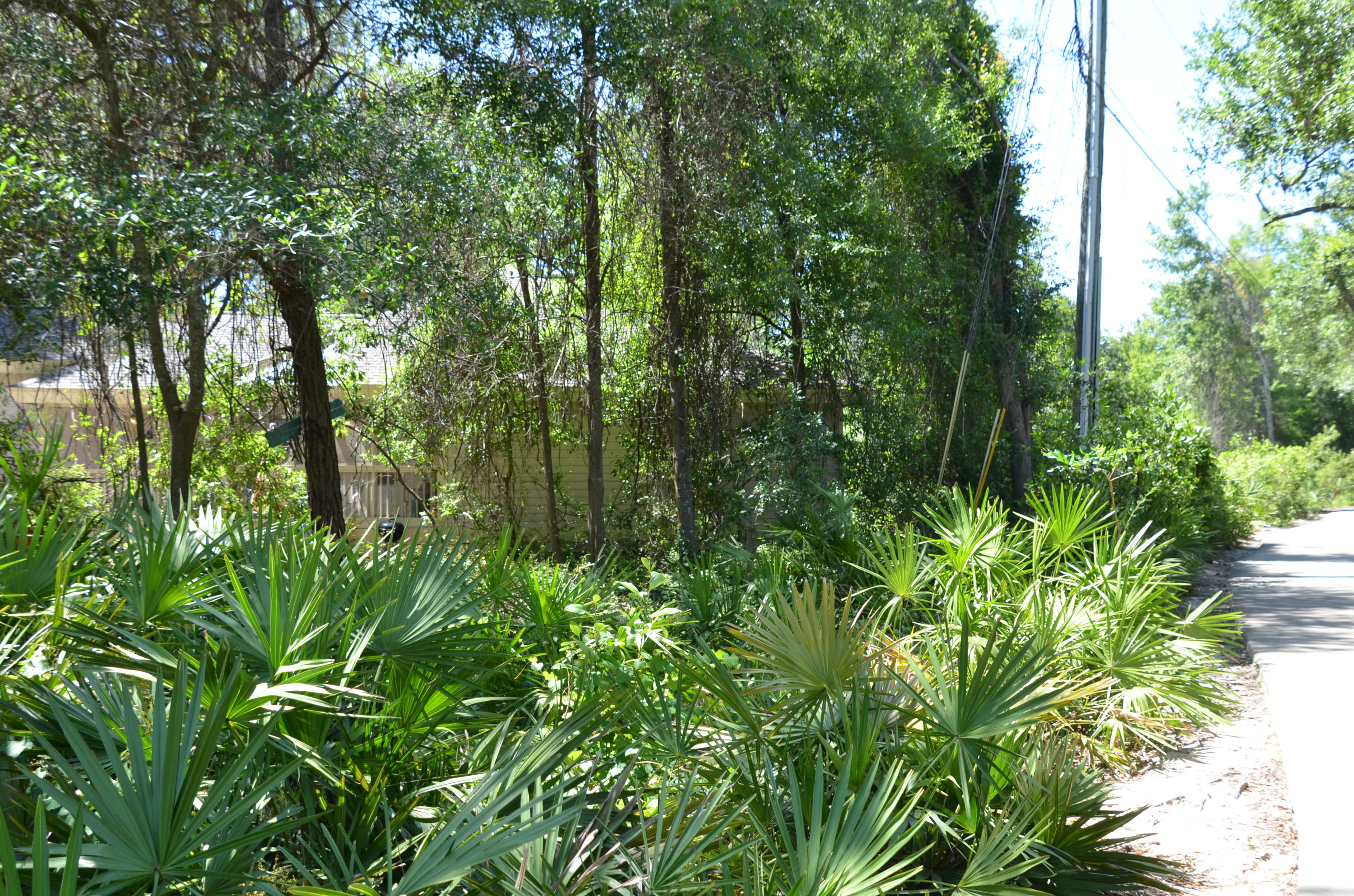 BAYPINES (SANDESTIN) - Residential