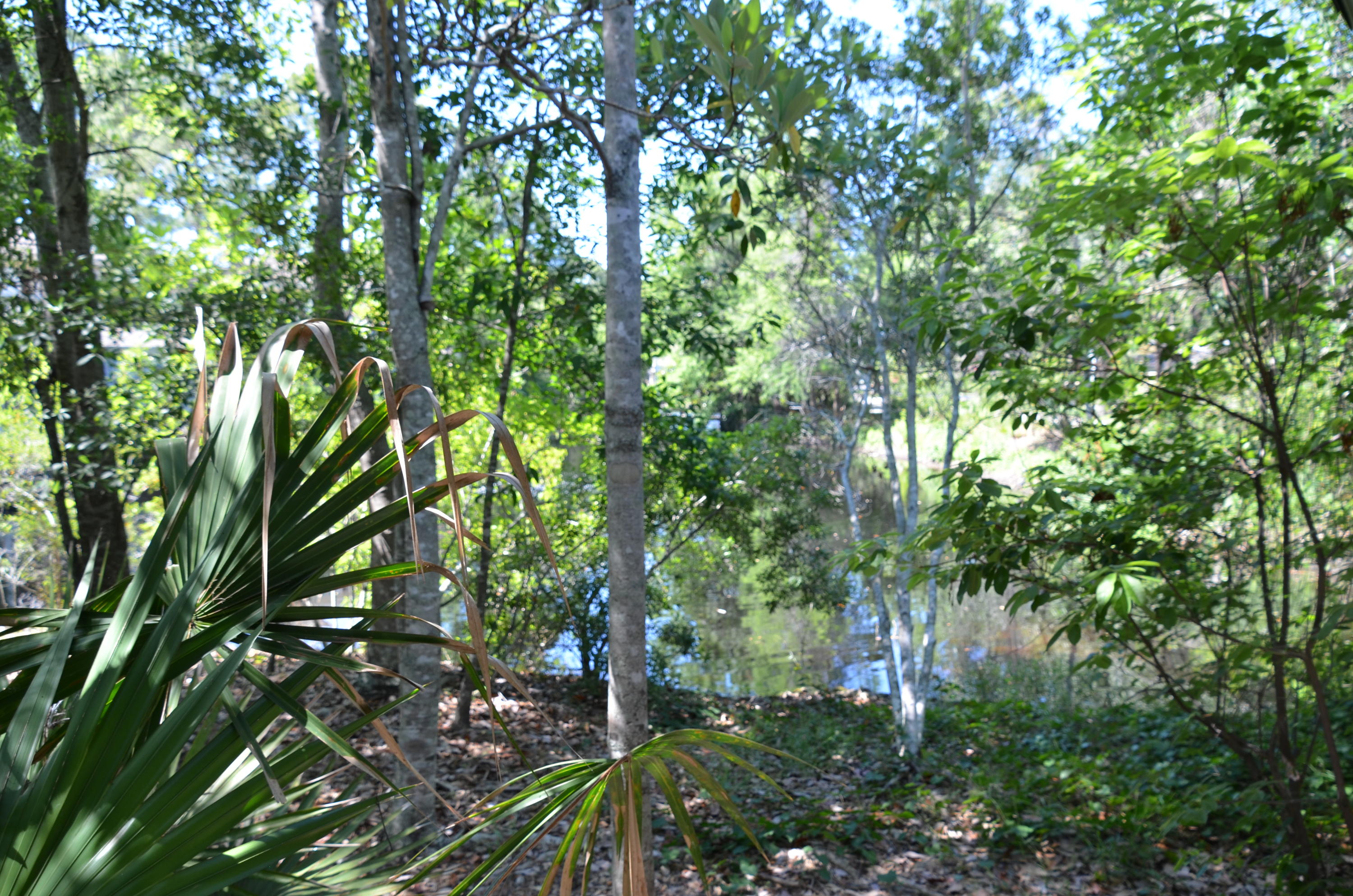 BAYPINES (SANDESTIN) - Residential