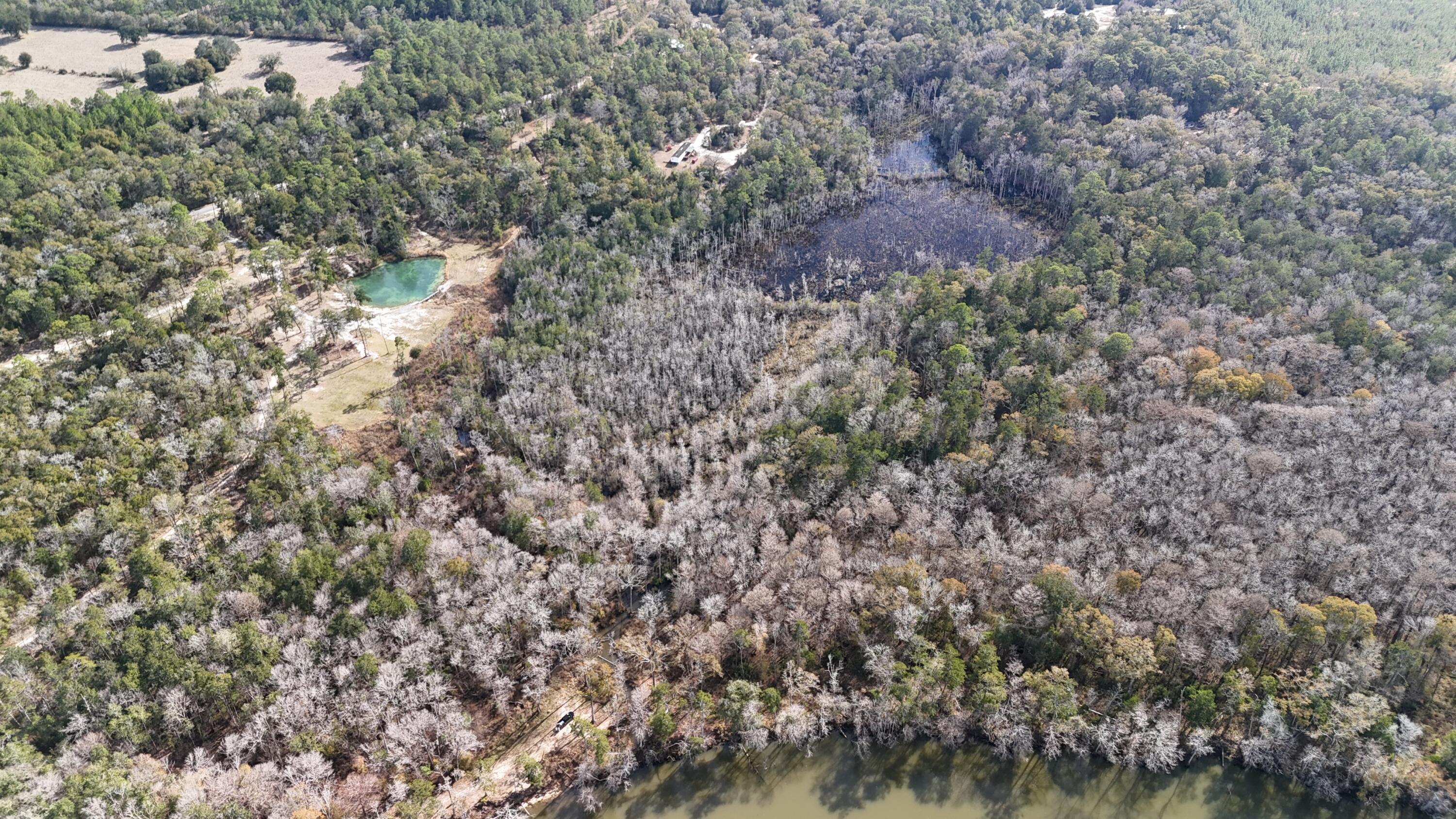 CHOCTAWHATCHEE RIVER CAMP SITES - Land