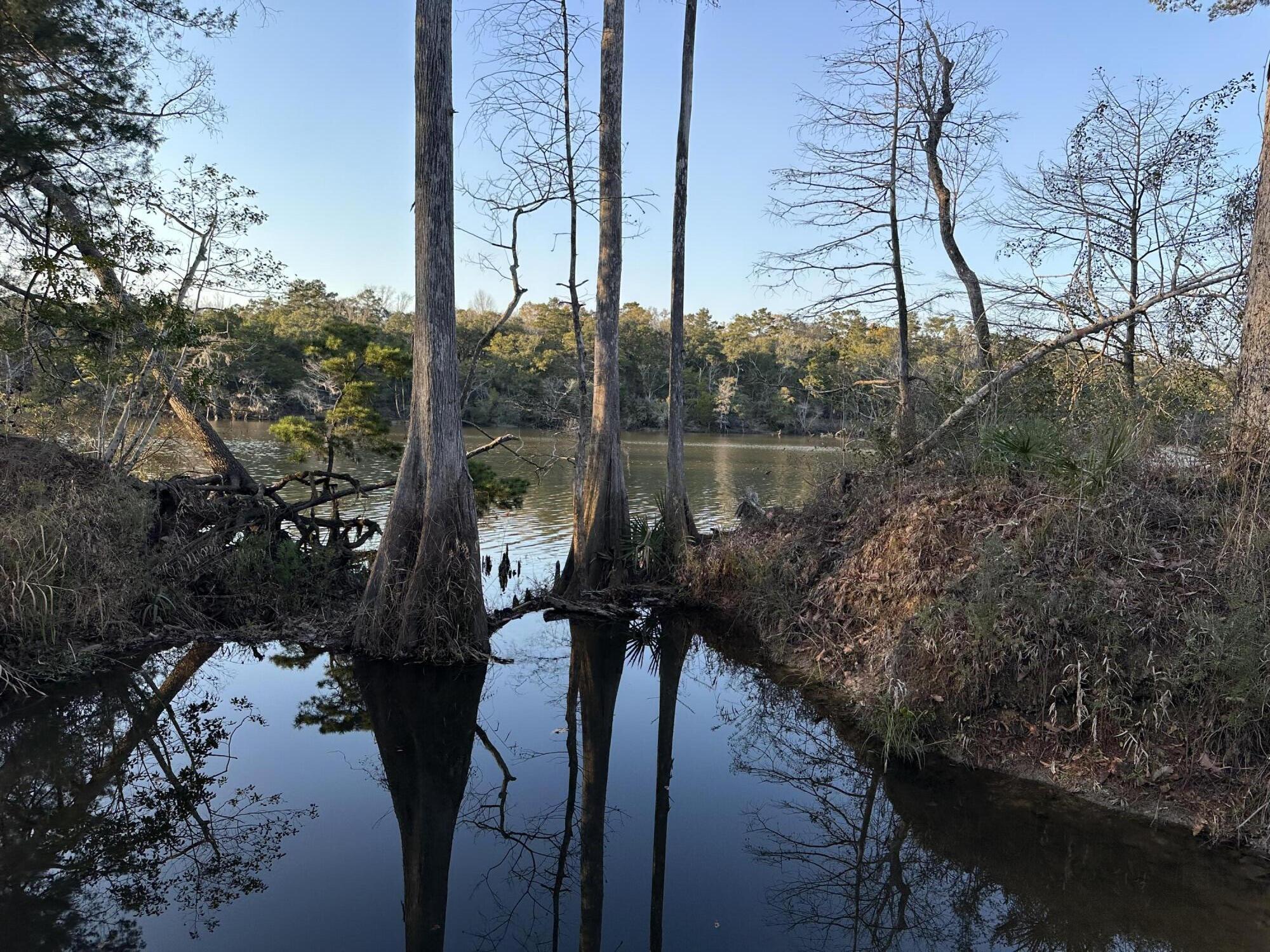 CHOCTAWHATCHEE RIVER CAMP SITES - Land