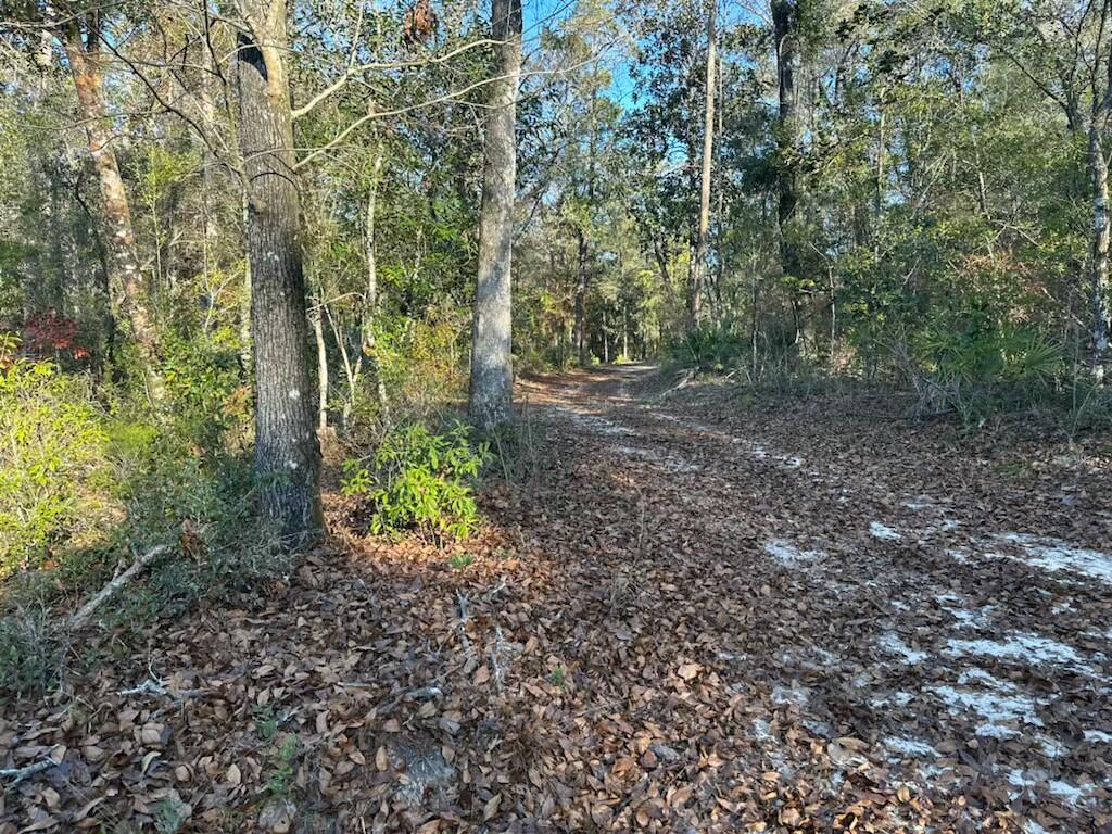 CHOCTAWHATCHEE RIVER CAMP SITES - Land