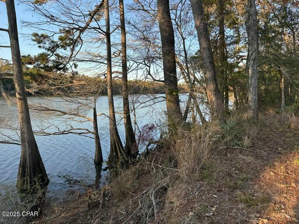 CHOCTAWHATCHEE RIVER CAMP SITES - Land