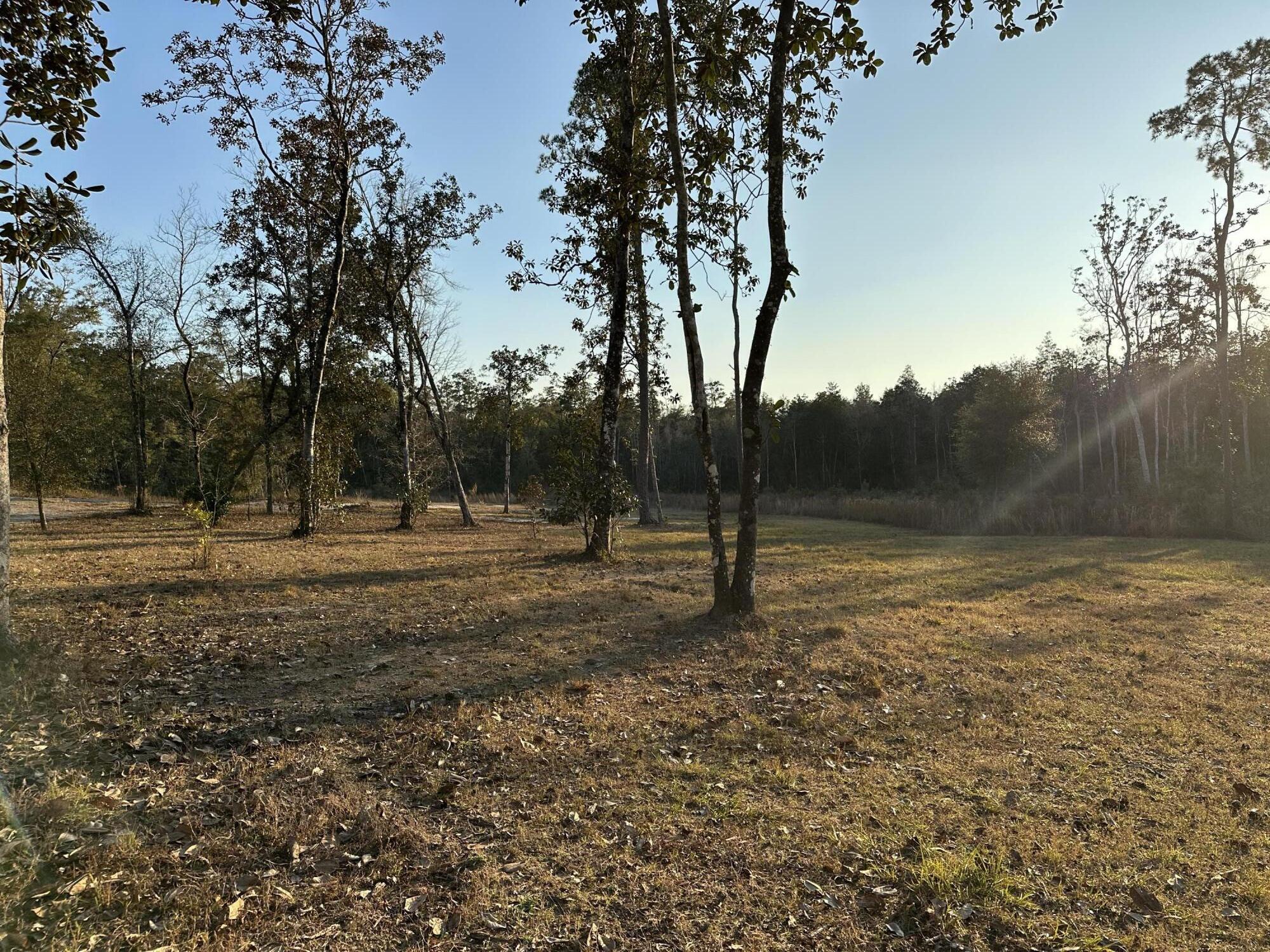 CHOCTAWHATCHEE RIVER CAMP SITES - Land
