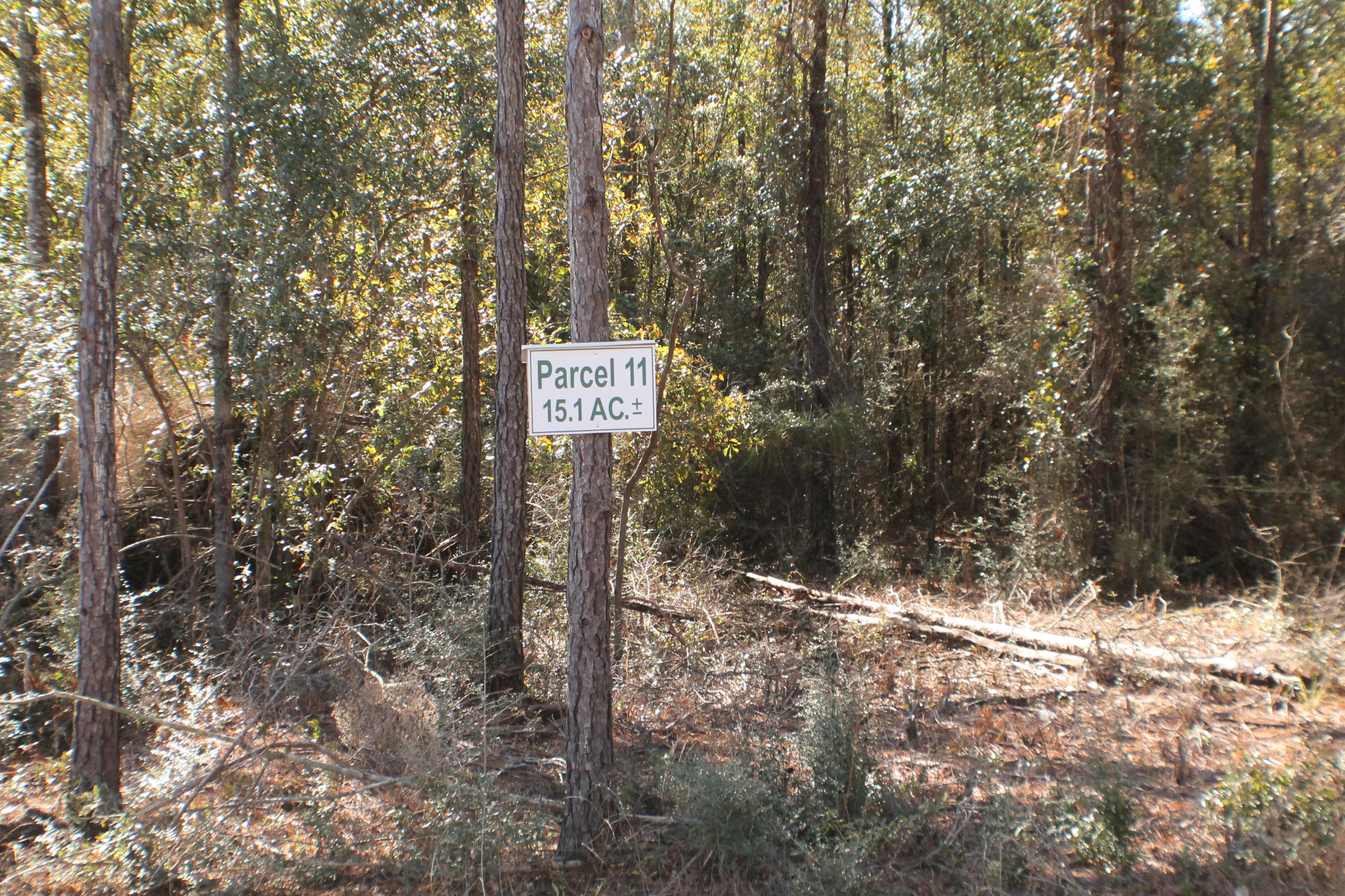 METES & BOUNDS - Land