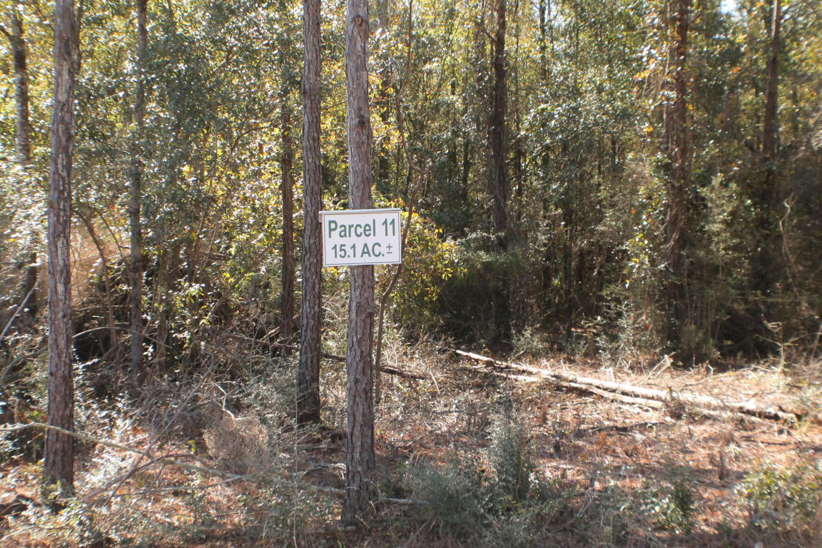 MILLERS BLUFF - Land