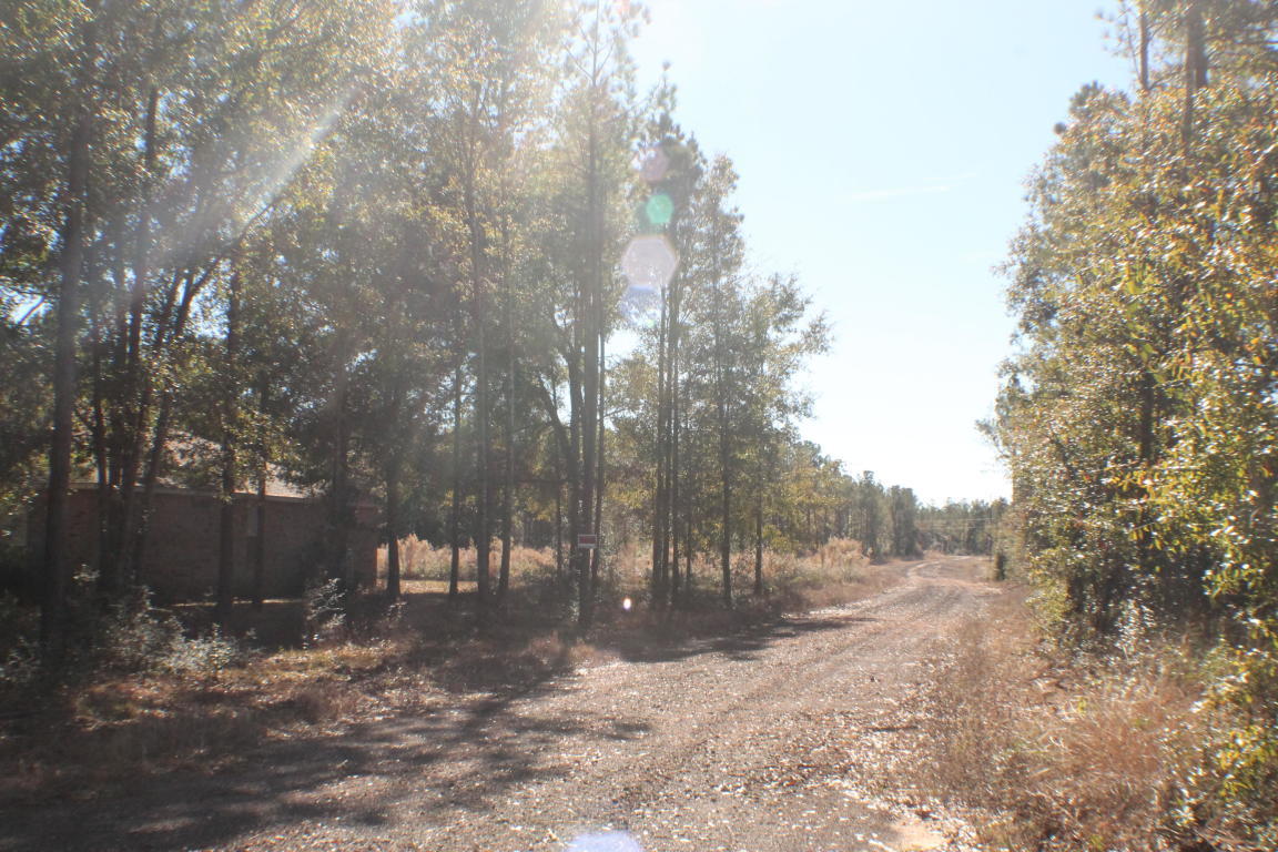 MILLERS BLUFF - Land