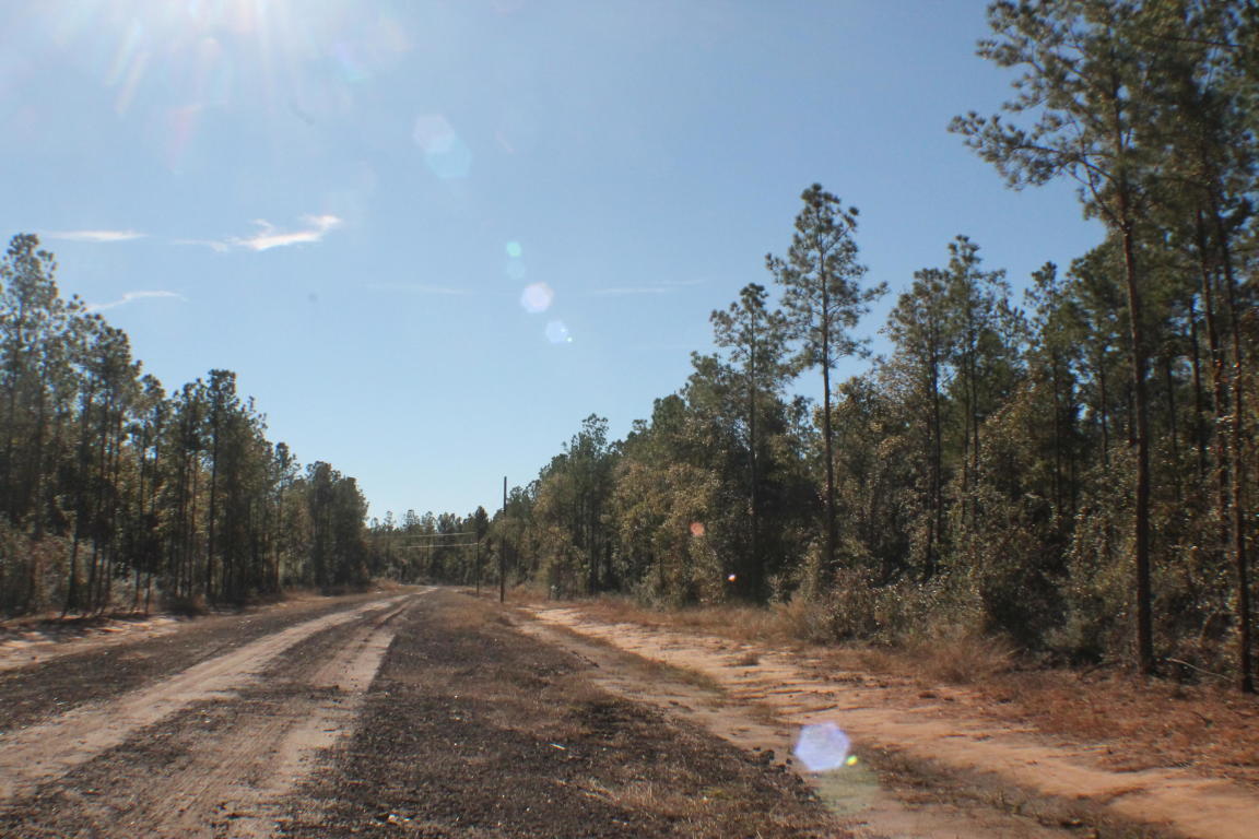 MILLERS BLUFF - Land