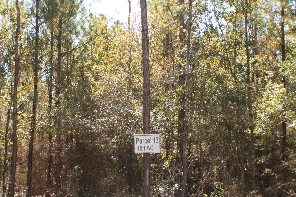 MILLERS BLUFF - Land