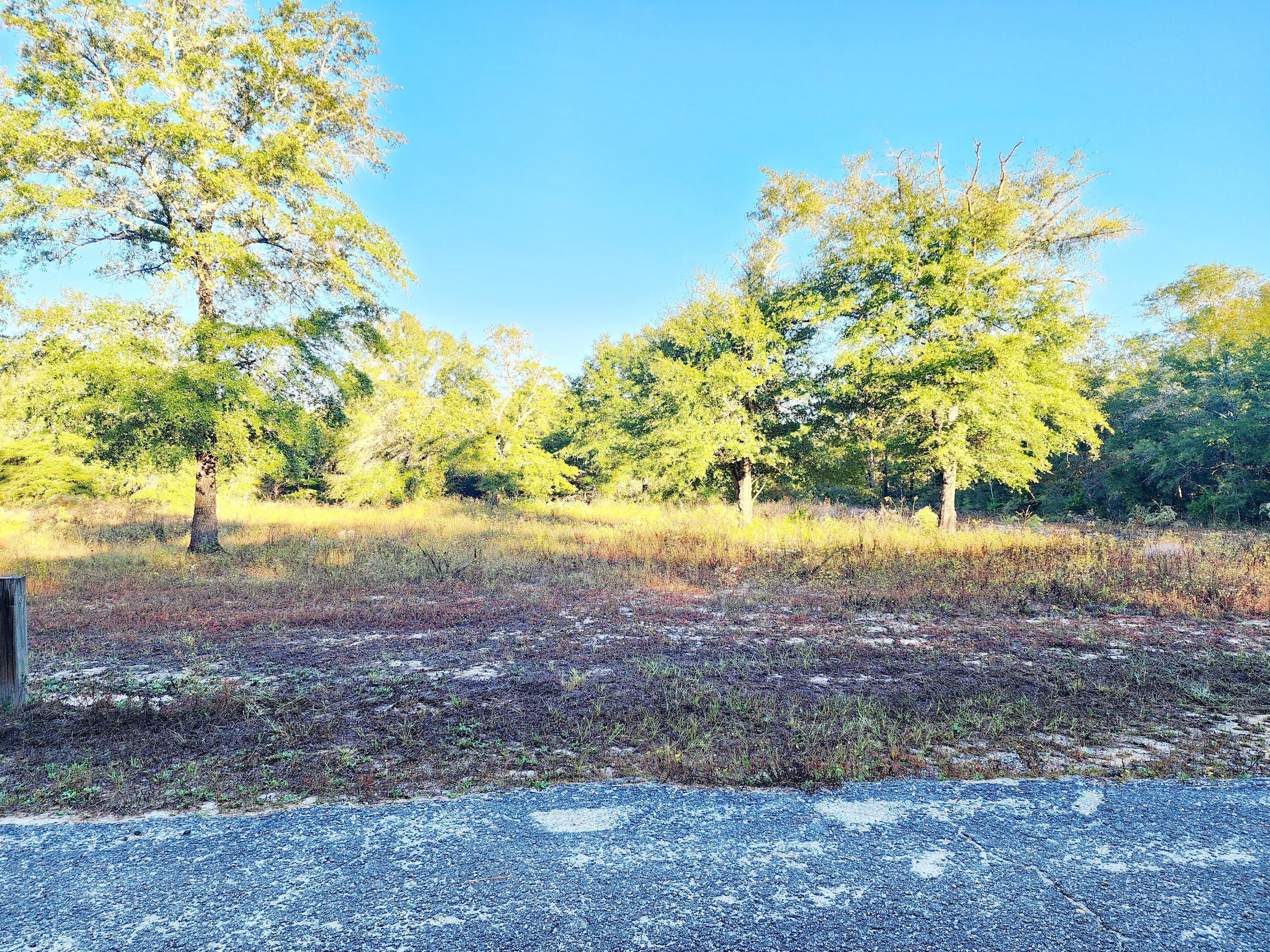 LOCATION..LOCATION!! Need cleared lot with existing Utilities at an excellent value? Look no further, here we have it waiting just for you! Mobile Homes Allowed! No HOA or Restrictions.This lovely lot with scatter large oak trees has septic large that was once large enough to accommodated (2) mobile homes. Property is on city water and has existing power pole. Property is Flood Zone X. Per the Walton GIS mapping, the property does not appear to have wetlands. Buyer needs to verify building codes, zoning regulations, wetlands and flood zones, etc with proper local authorities to ensure buyer will be able to utilize the property for intended use. Buyer would be responsible for verifying the county would allow (2) mobiles to be placed on the property utilizing the existing septic. The mobiles are no longer existing on this lot.
Information contained within this listing is deemed to be accurate but is not guaranteed.
All dimensions shown are approximately only per CRS Property Data Report. A Survey must be completed to confirm property lines and dimensions.