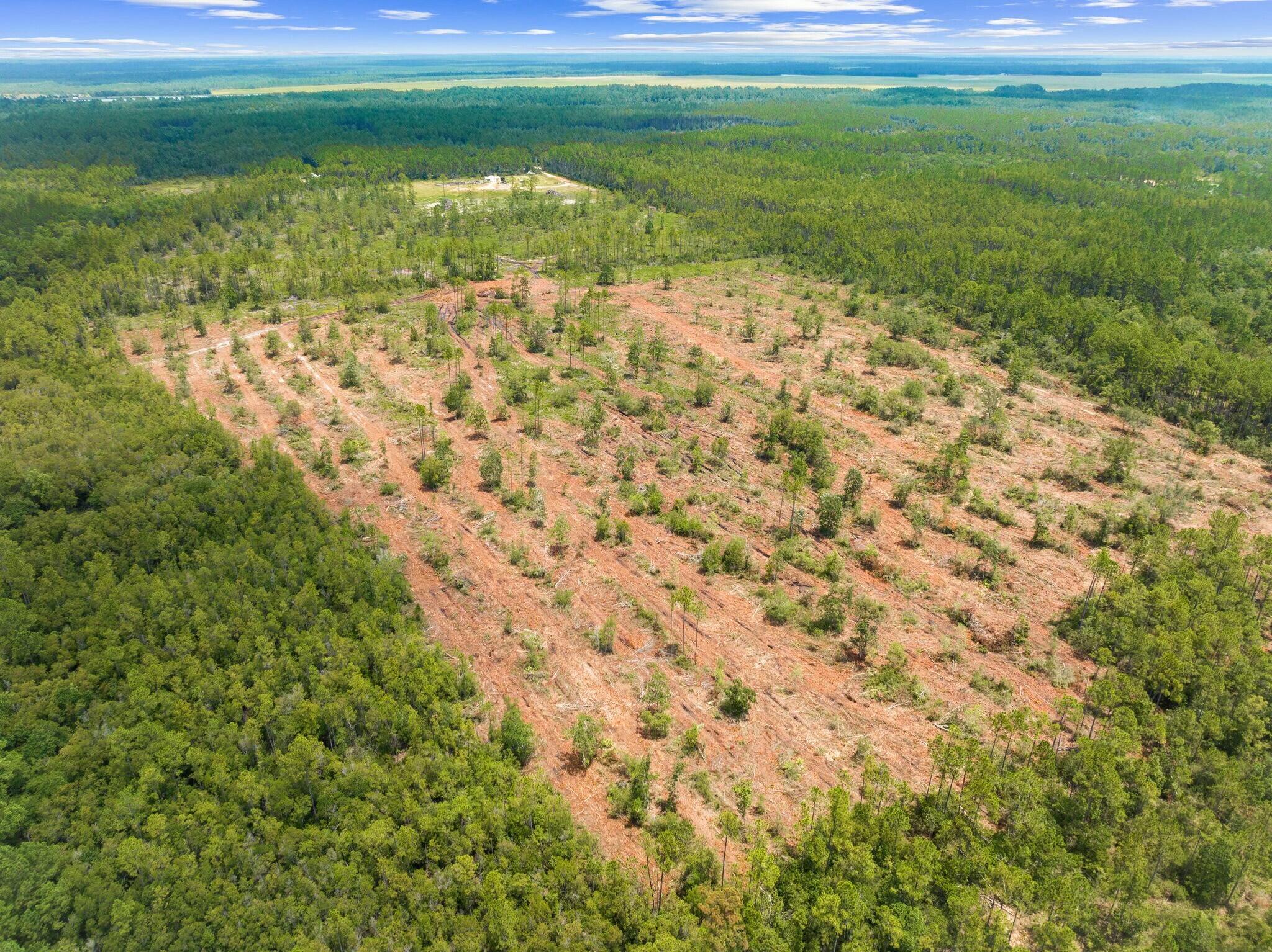 35 acres off Joe Dugger Rd - Land