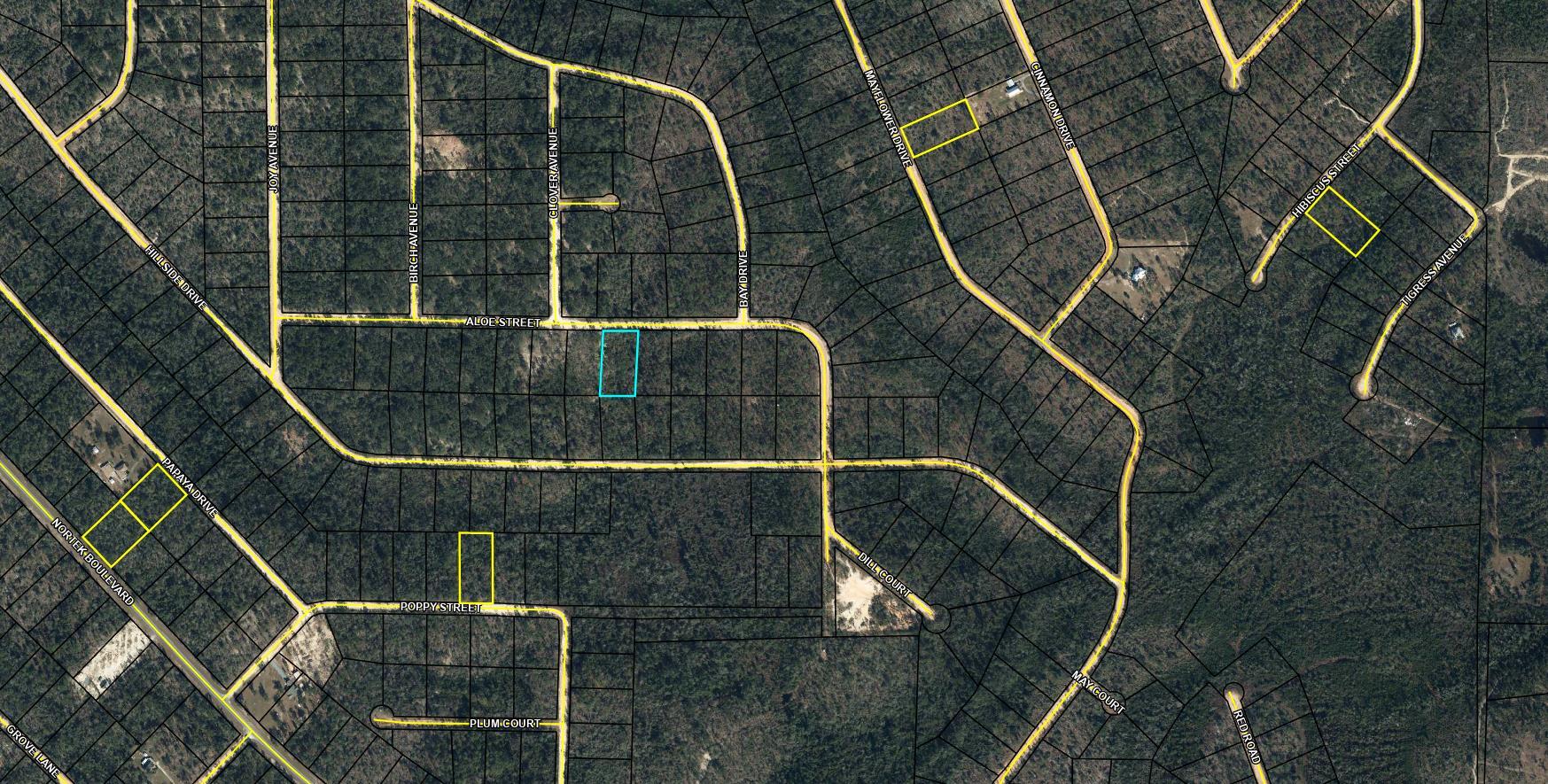 Large 1.148 acre lot in Compass Lake in the Hills. There is a voluntary HOA of $135 a year, but what a great price for all the amenities that are included such as: access to 2 lakes for fishing, tennis, horse stables / riding, rental cabins, RV spots, boat rentals, clubhouse, and a golf range. Being an all-sports lake, enjoy water skiing, tubing, jet skiing, boating, sailing, kayaking & swimming. No need to worry about lunch while out on the water when you have a boat accessible shoreline restaurant. This location is great for someone who enjoys nature and a short drive to the beach since it is located half way between Panama City And Dothan. The area is rich in historical significance, with many restored antebellum plantation homes open for tours or as bed-and-breakfast