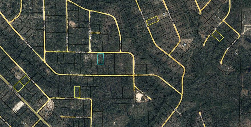 Large 1.148 acre lot in Compass Lake in the Hills. There is a voluntary HOA of $135 a year, but what a great price for all the amenities that are included such as: access to 2 lakes for fishing, tennis, horse stables / riding, rental cabins, RV spots, boat rentals, clubhouse, and a golf range. Being an all-sports lake, enjoy water skiing, tubing, jet skiing, boating, sailing, kayaking & swimming. No need to worry about lunch while out on the water when you have a boat accessible shoreline restaurant. This location is great for someone who enjoys nature and a short drive to the beach since it is located half way between Panama City And Dothan. The area is rich in historical significance, with many restored antebellum plantation homes open for tours or as bed-and-breakfast