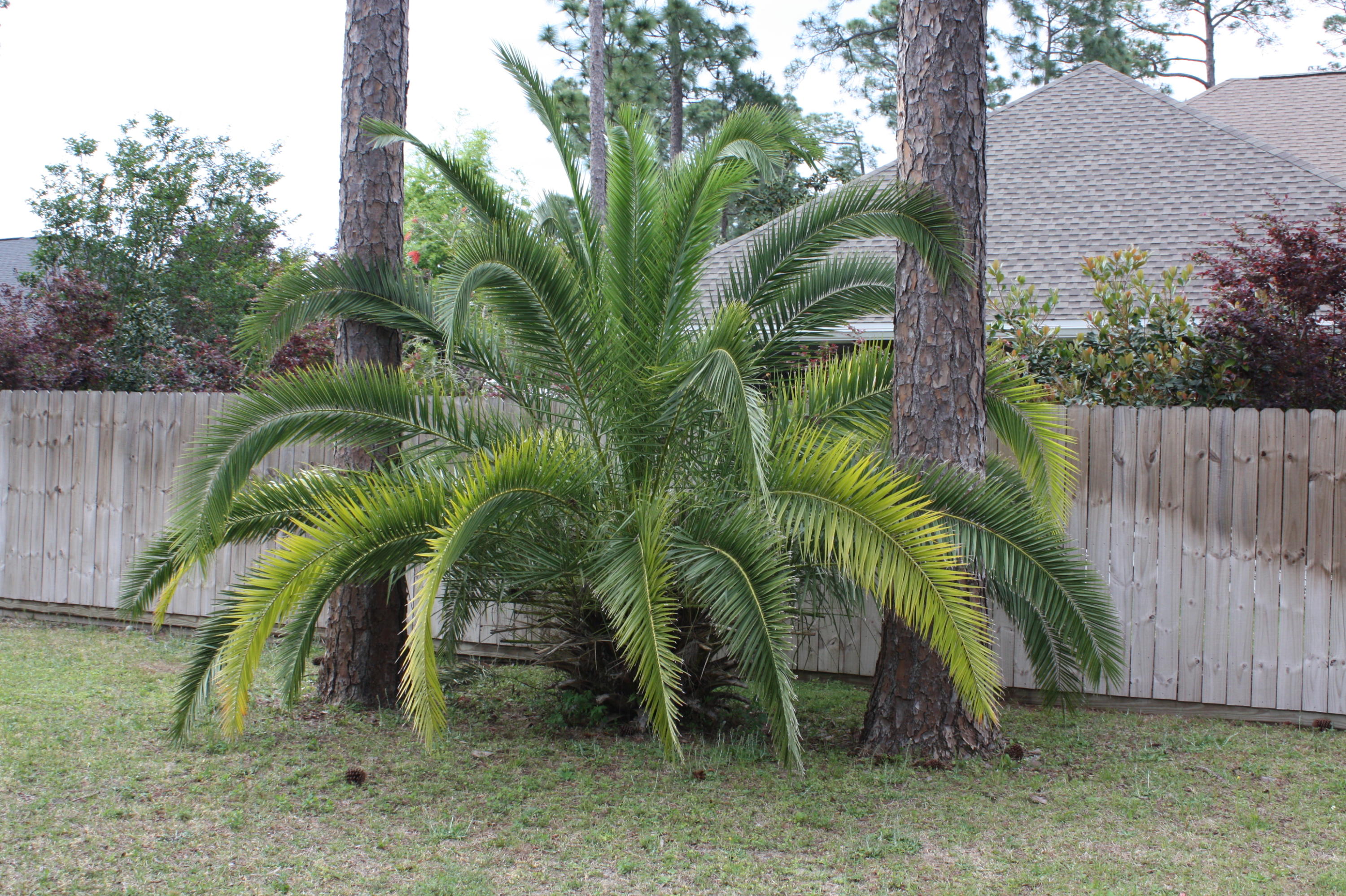 BAYSHORE PLACE PH 7 - Residential