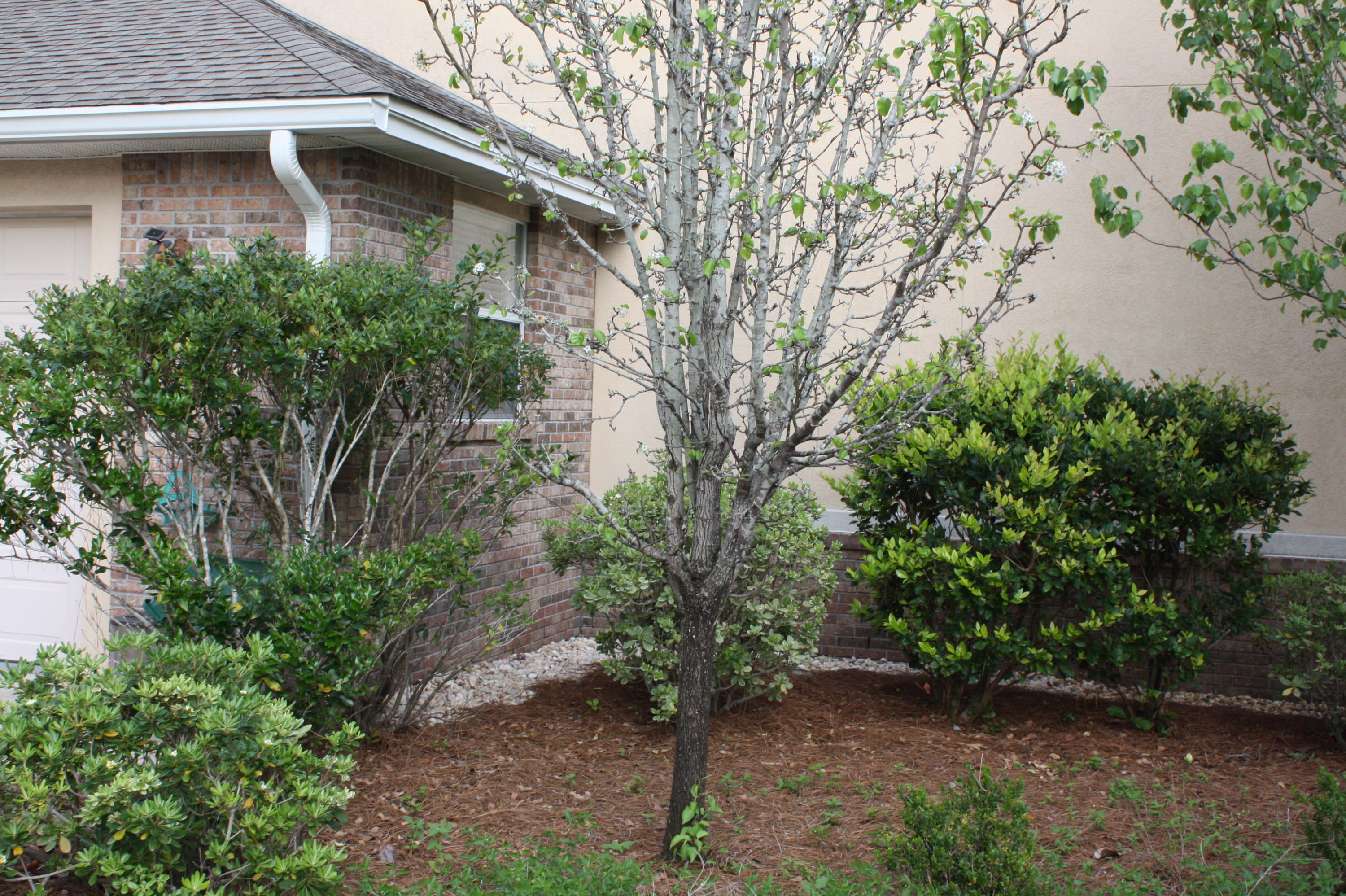 BAYSHORE PLACE PH 7 - Residential