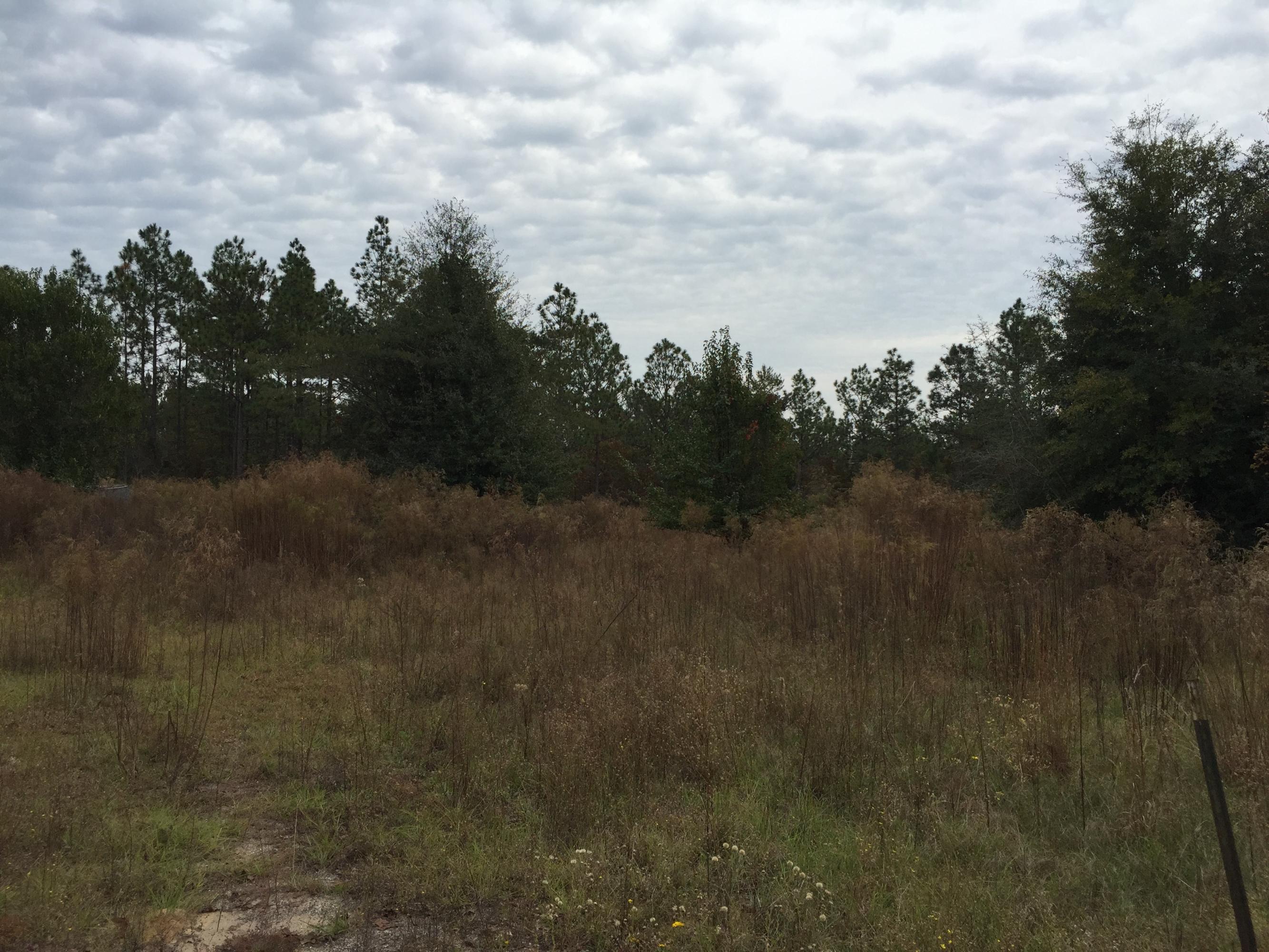 metes and bounds - Residential