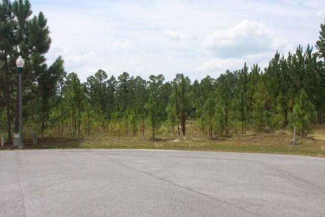 WINDSWEPT ESTATES - Land