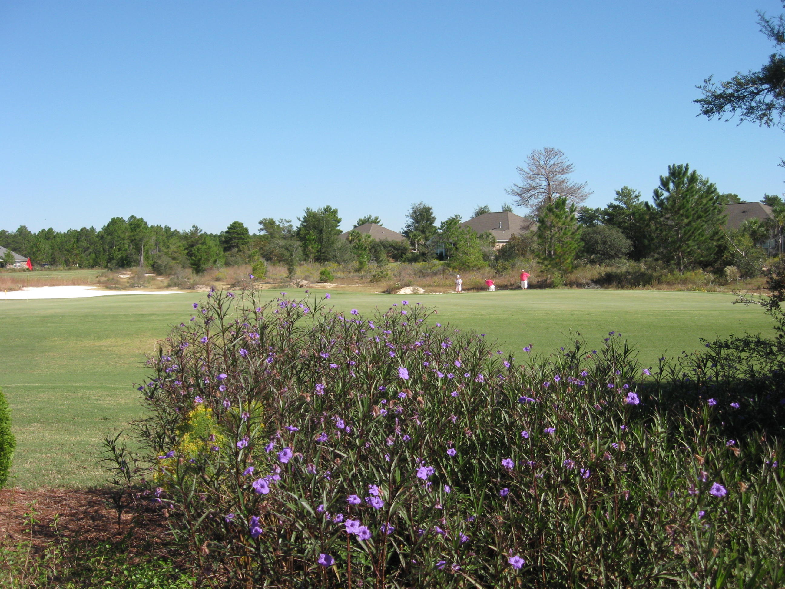 WINDSWEPT ESTATES - Land