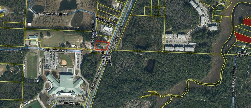 Village Mixed use zoning. Heavy 331 traffic count with new apartments/townhomes being built behind parcel. Rare to the market 331 frontage. All uplands. Very close to South Walton High School and surrounding area being rapidly built out with various types of residential. Also listed in commercial, MLS 934846 with VMU zoning.