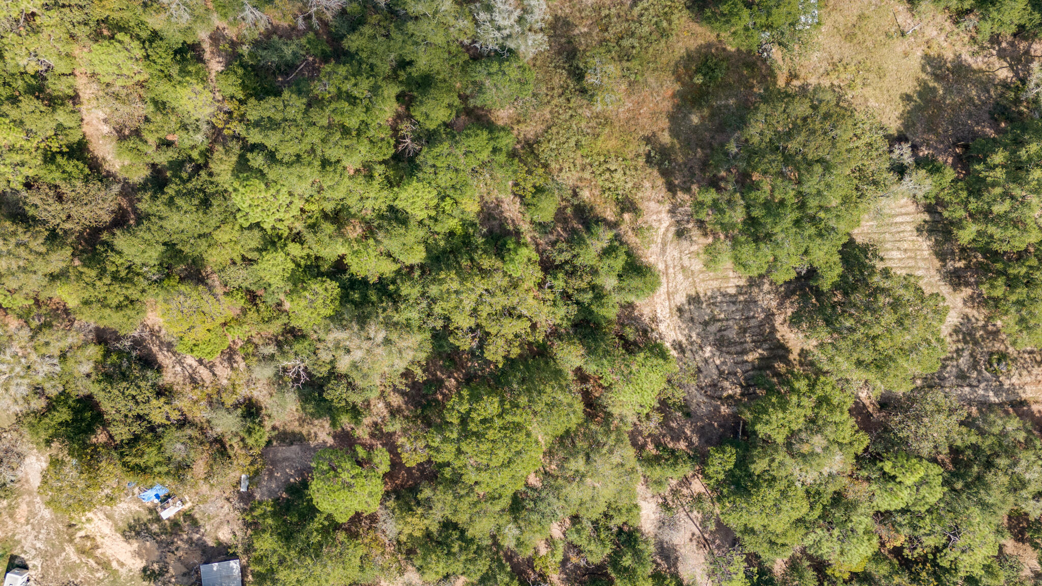 SHOAL RIVER FARMS UNREC - Residential