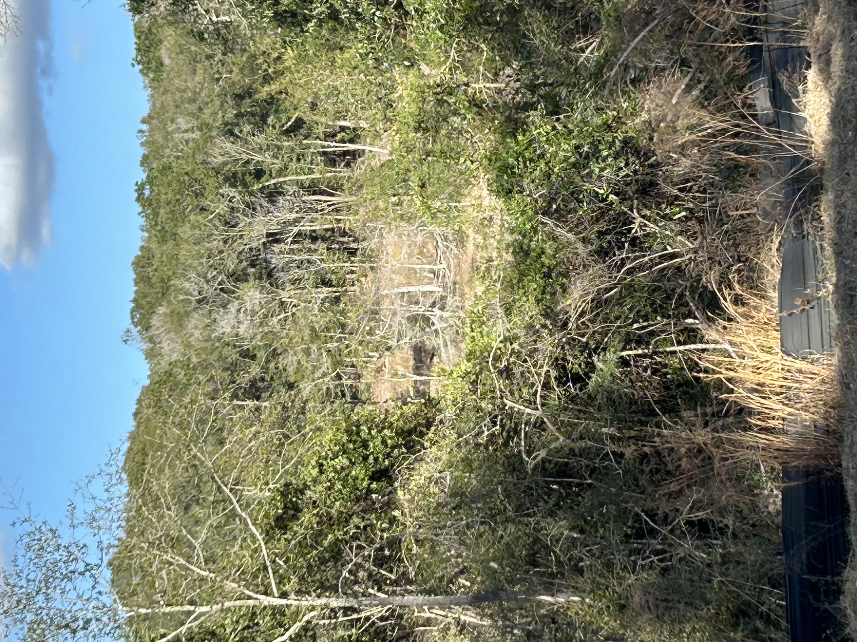 Seacoast Estates - Land