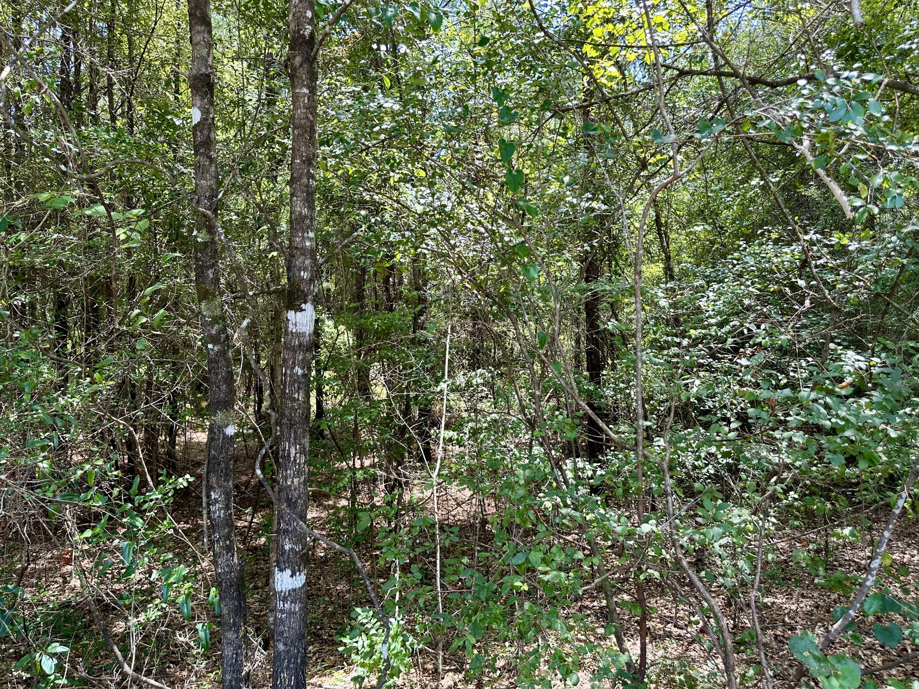 METES & BOUNDS - Farm