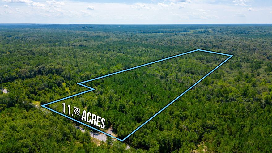 Have you been searching for acreage south of I10.... Here it is!!! Beautifully wooded 11.39 acres located off of Rock Hill Rd. Address shows as Ponce De Leon but this property is located in North Walton County. Zoned Agriculture with the front portion of the acreage located in Flood Zone X making it perfect for your new home, stick built or manufactured. Bruce Creek flows through this area causing the back half of the property to be in Flood Zone A. There is a survey available showing the Flood Zone marks. Seller says that the creek overflow has been known to come through the back portion of the property during periods of extensive rain. There is a slight slope from mid way to the back of the parcel. Give us a call to make this your future homesite.