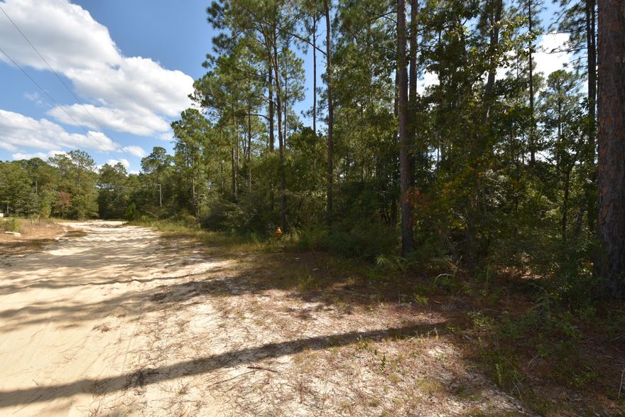 2 Wooded lots that back up to what is believed to be protected wetlands (on the plat it is labeled ''PARK''). Mobile Homes are allowed in this area. The Zoning and Future Land Use are Agricultural, according to the County GIS. The road is not maintained by the county but you can drive to the lots. There is a fire hydrant down the road toward Camellia from this property. Water and electric are available. No sewer. Please verify all information and that utilities are available. Dimensions taken from the Subdivision Plat. Take a look at this lot today!